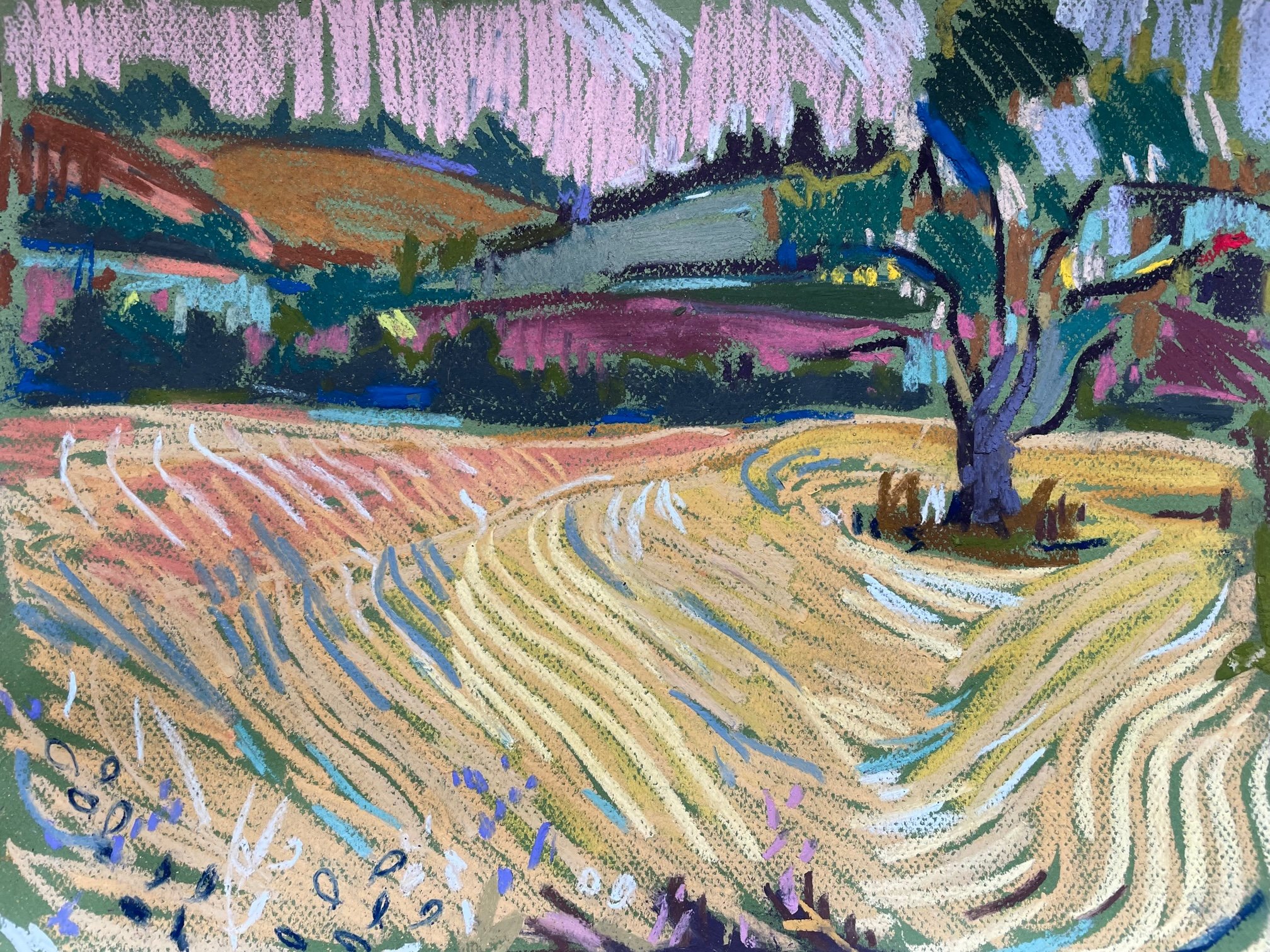 Summer field, pastel on paper, 30x40cm, £350