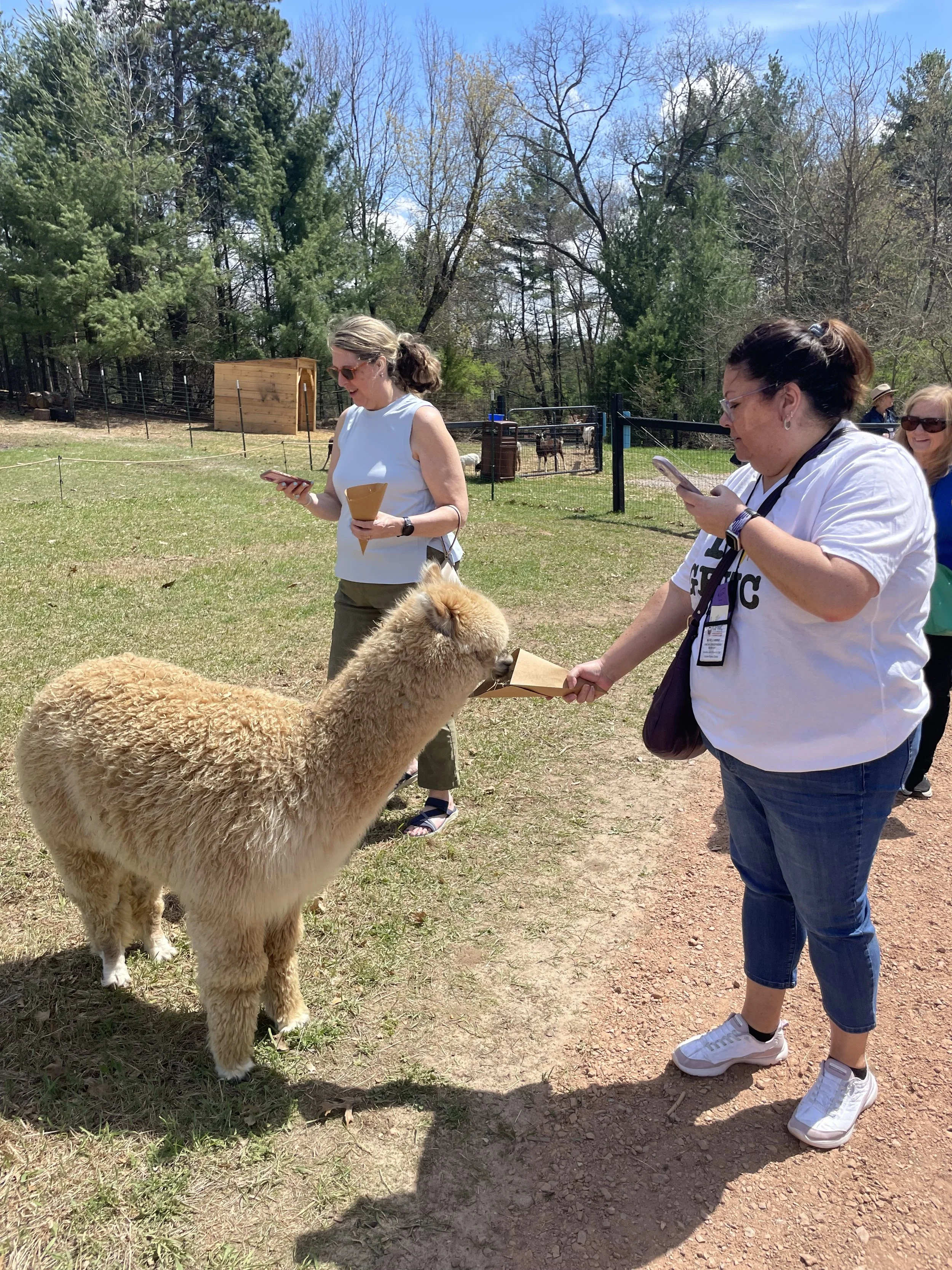 2026 State Conv - Alpaca.jpeg