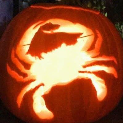 BLACK FRIDAY 12-3 &amp; SAT. 12-3
Mary's Land Farm  4979A Sheppard Ln, Ellicott City, MD 21042

Tired of Turkey? Family &amp; Friends in town? Grab your Crab cakes &amp; spread the love!
#flashcrabcakeco @flashcrabcakes #maryslandfarm #crabcakesinbal