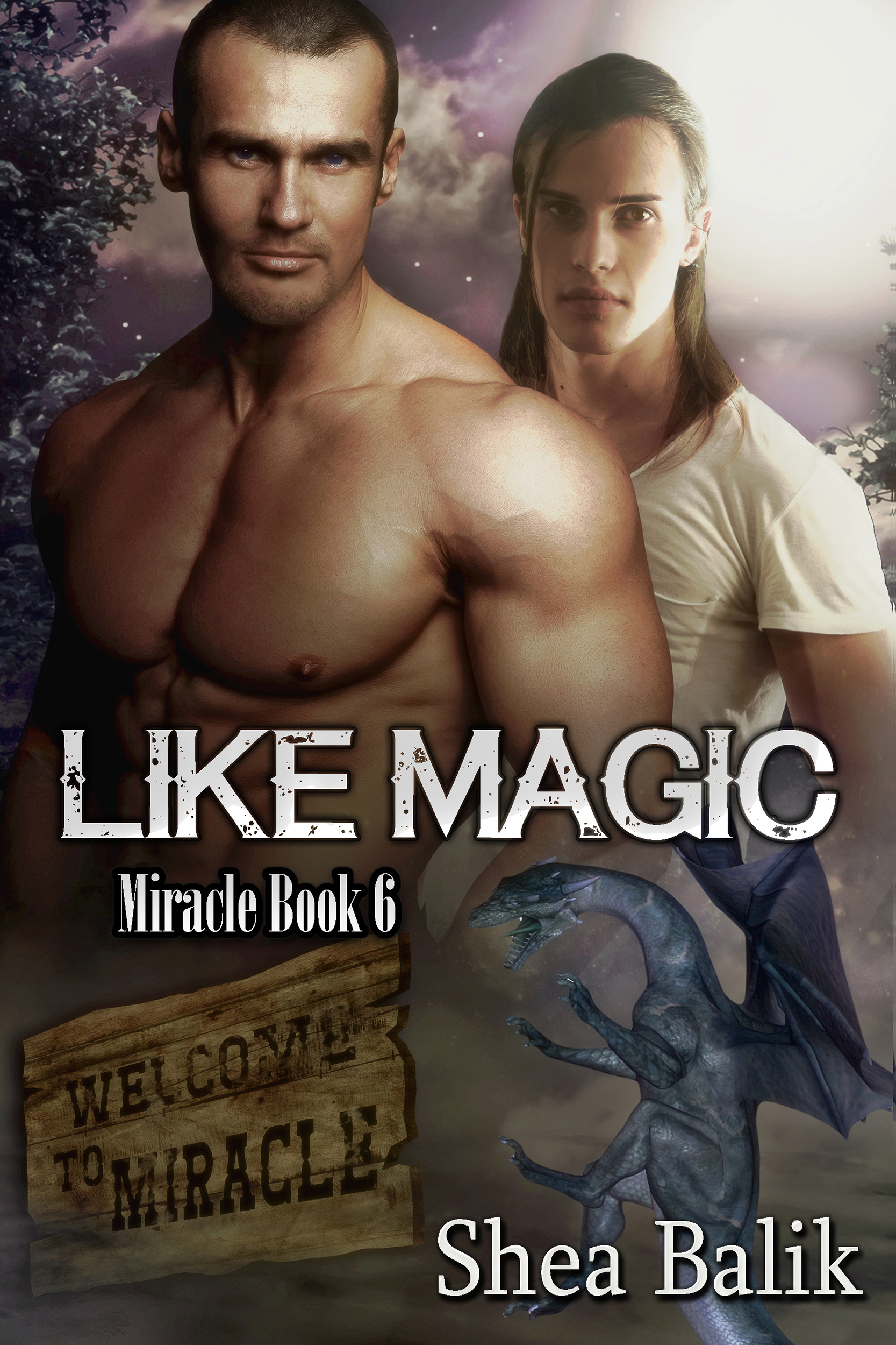 Like Magic, Miracle Book 6
