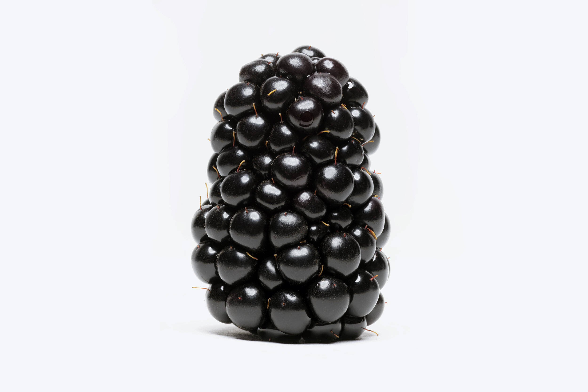 Blackberry
