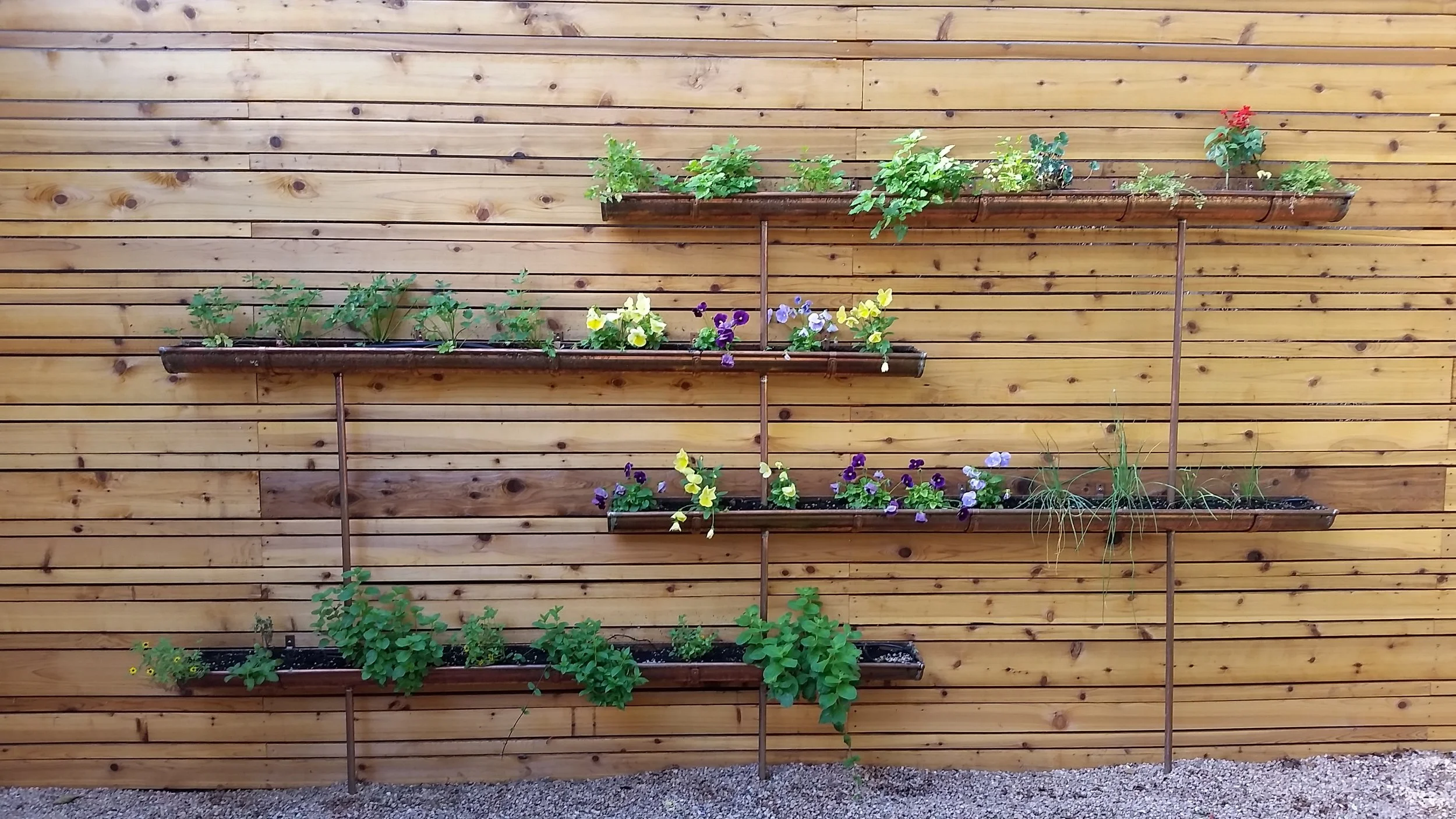 20150624_083424.jpg