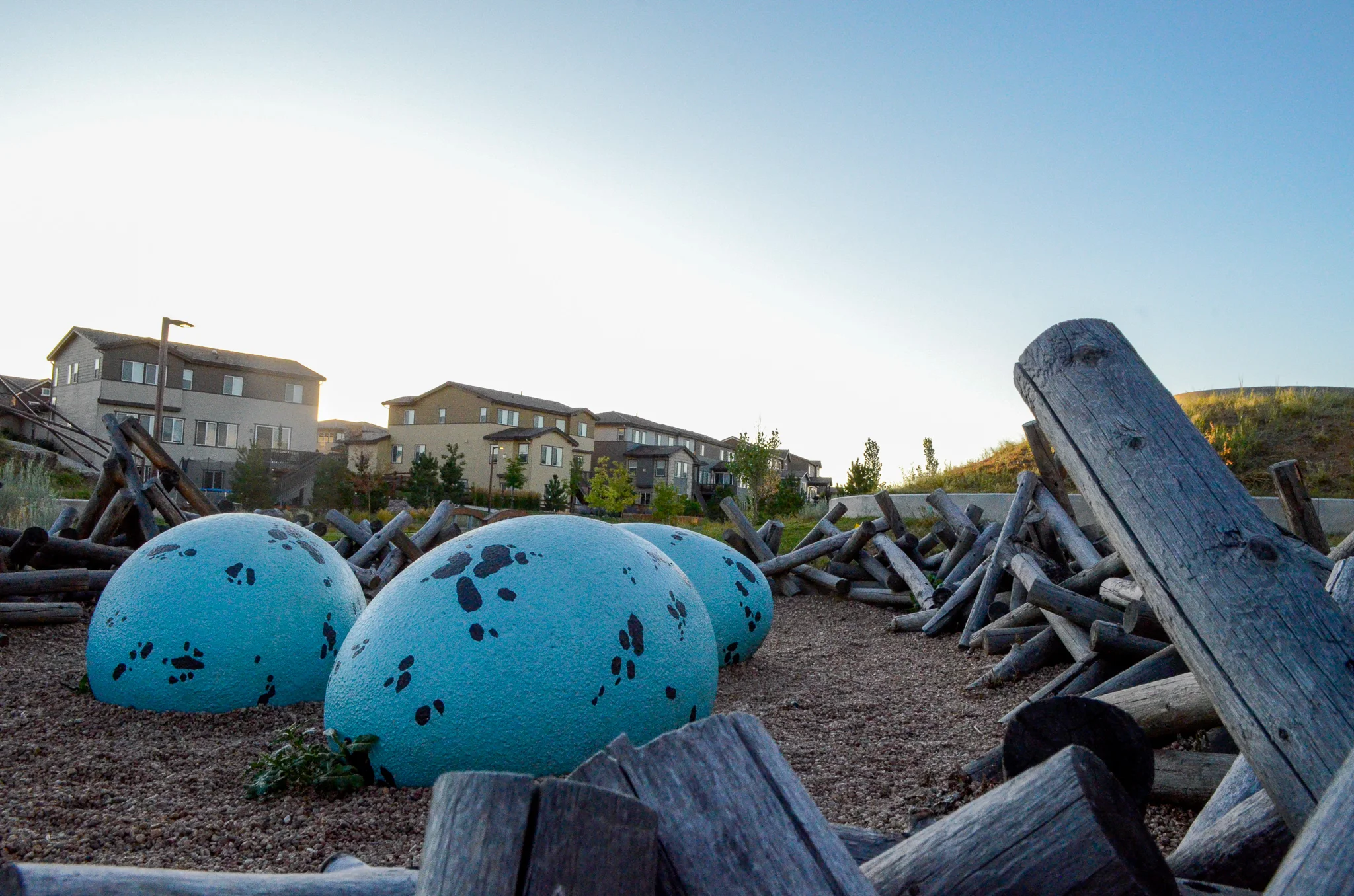 Sunburst Park // Stepping Stone // Parker, CO