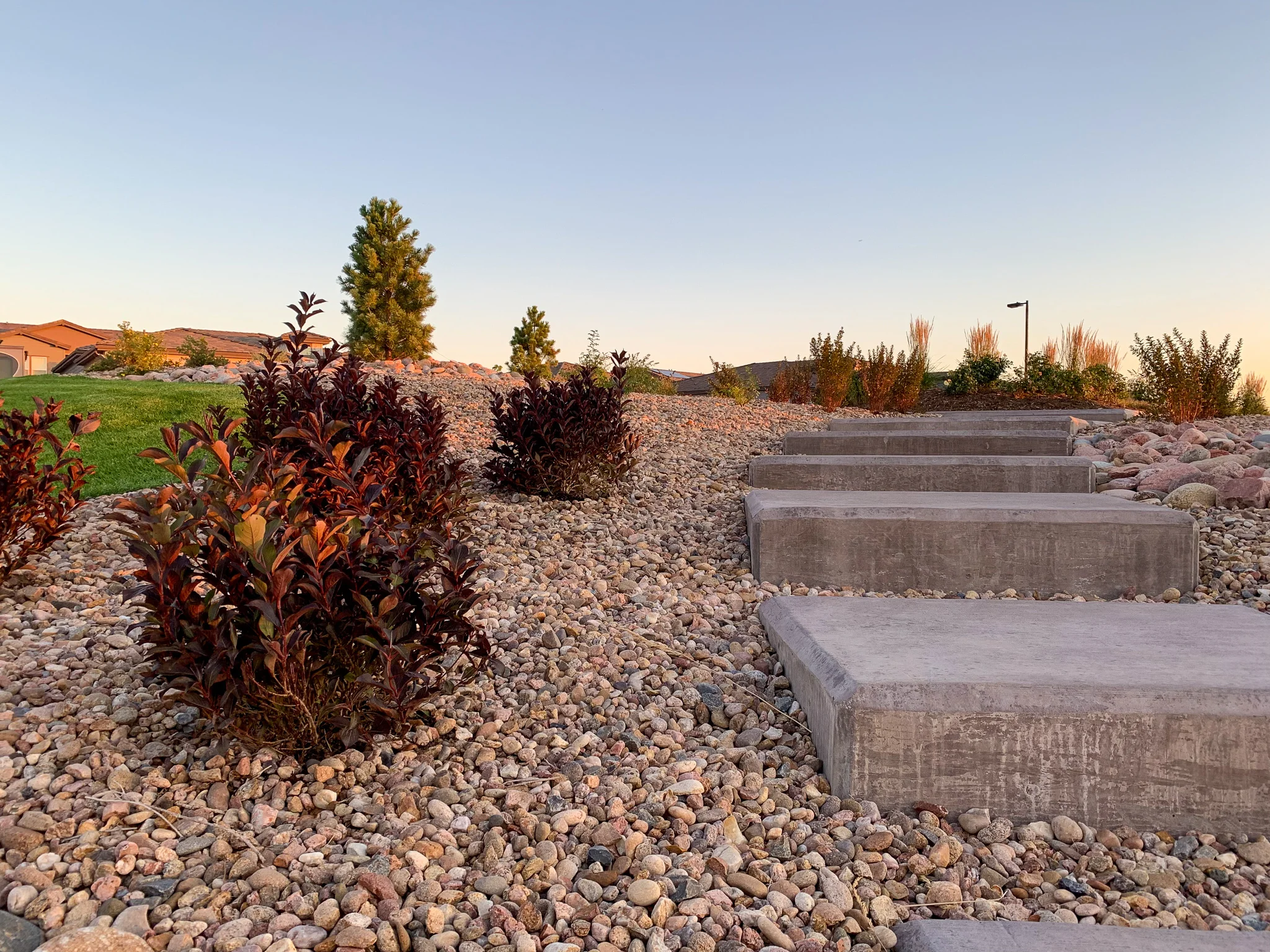Butterfly Park // Stepping Stone // Parker, CO