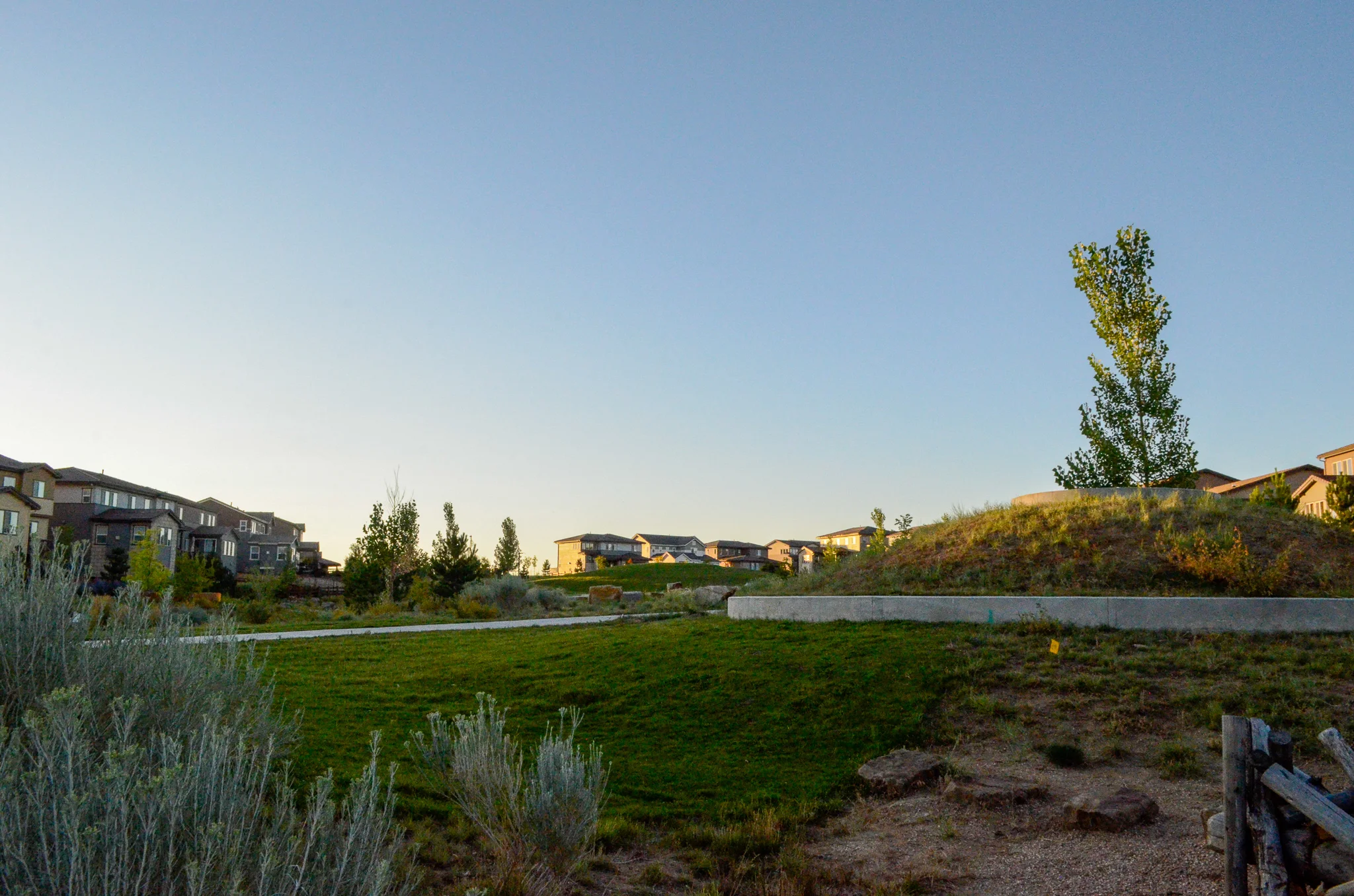 Sunburst Park // Stepping Stone // Parker, CO