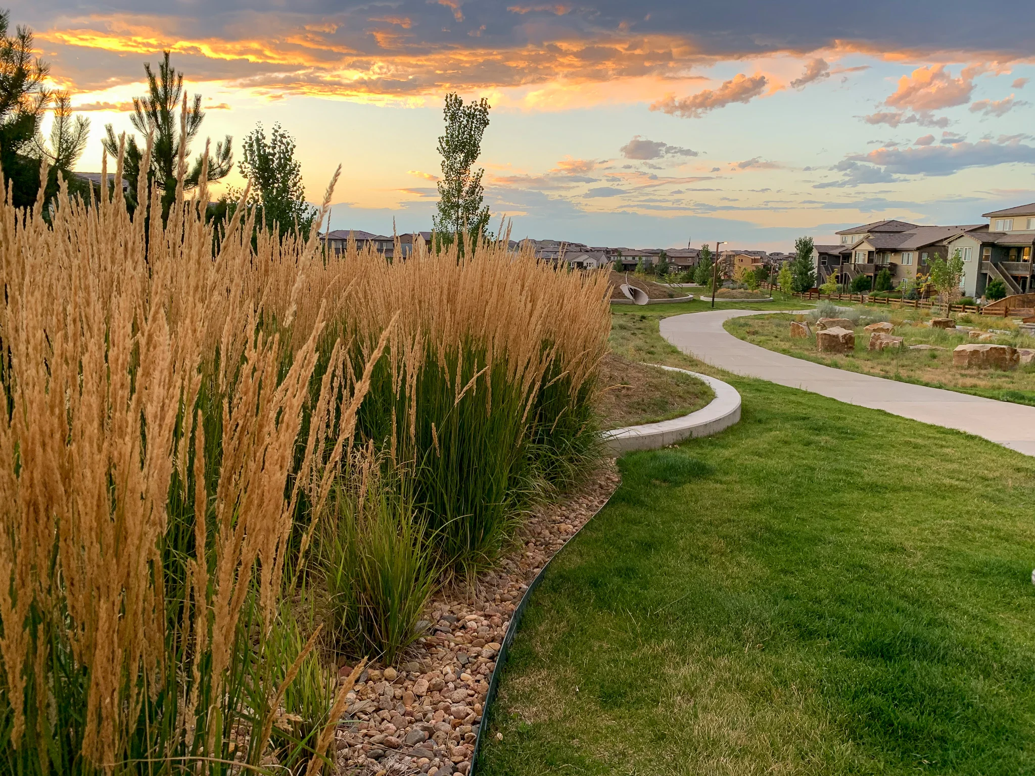 Sunburst Park // Stepping Stone // Parker, CO