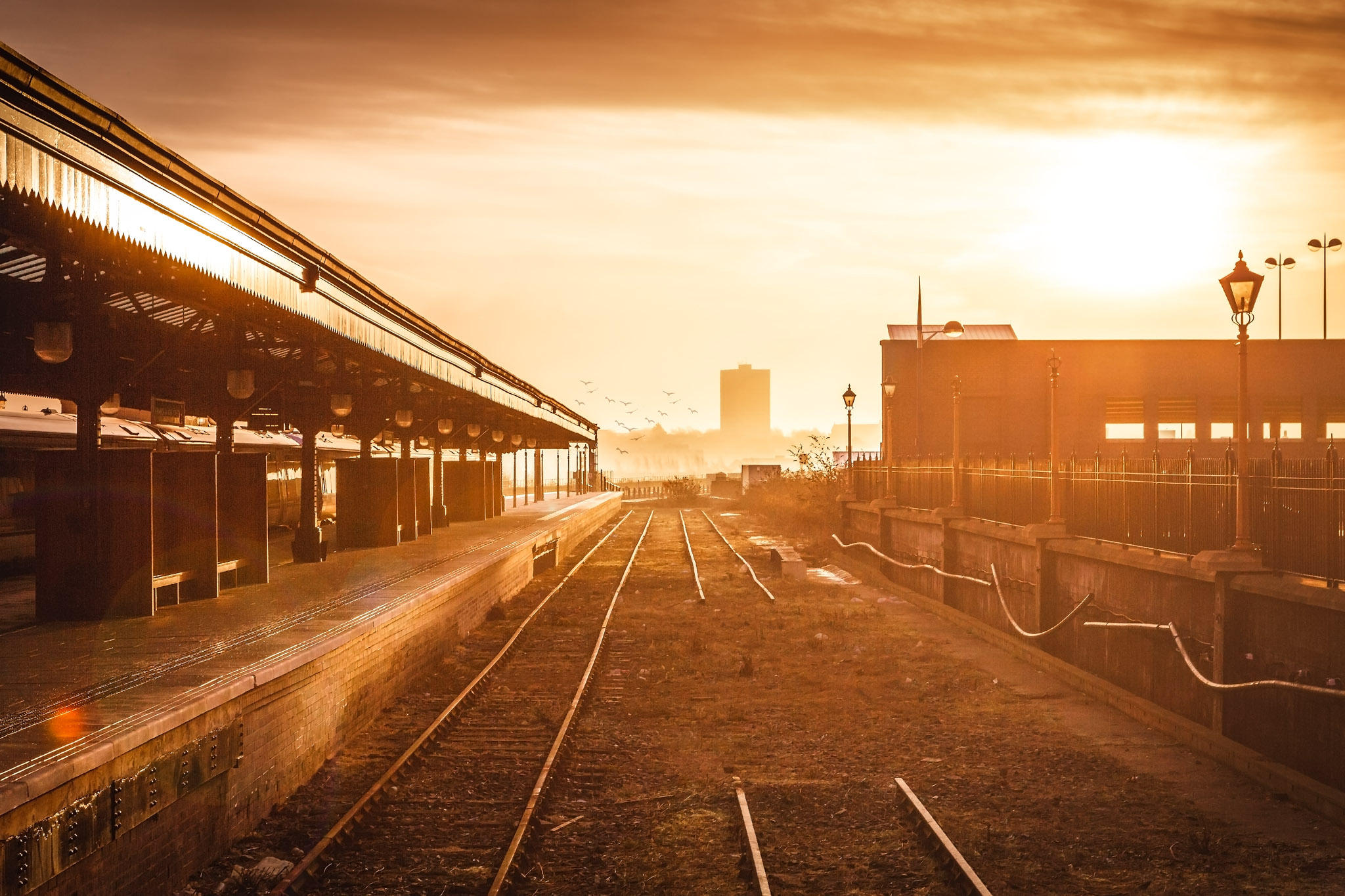 Along the Tracks