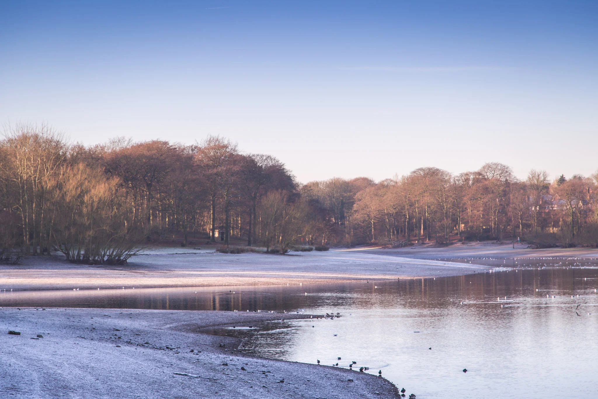 Frosty morning on the banks of Edgbaston Reservoir, Birmingham