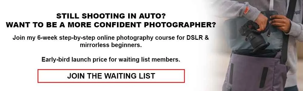 Six Week Beginner Photography Course