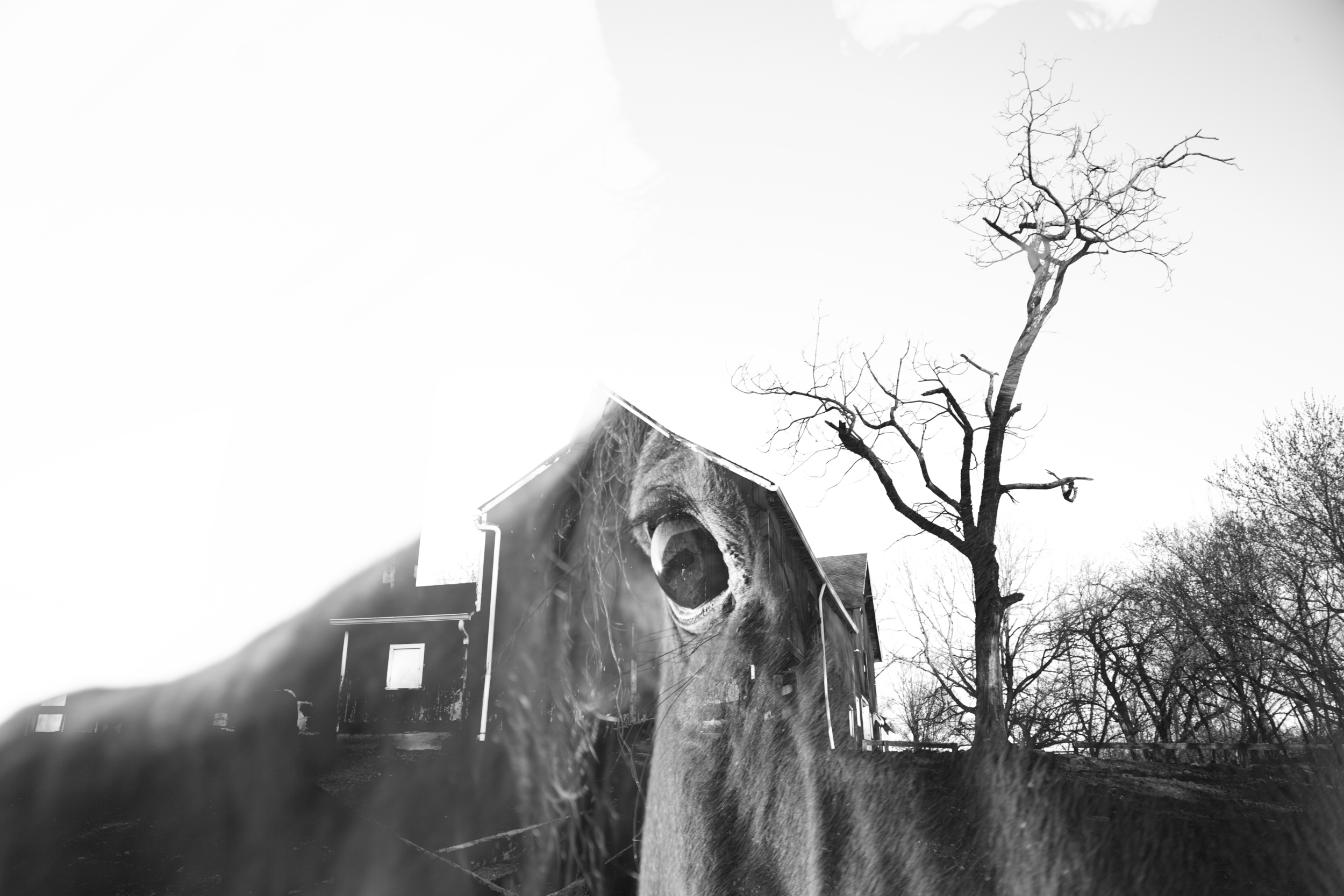 TEST1.png