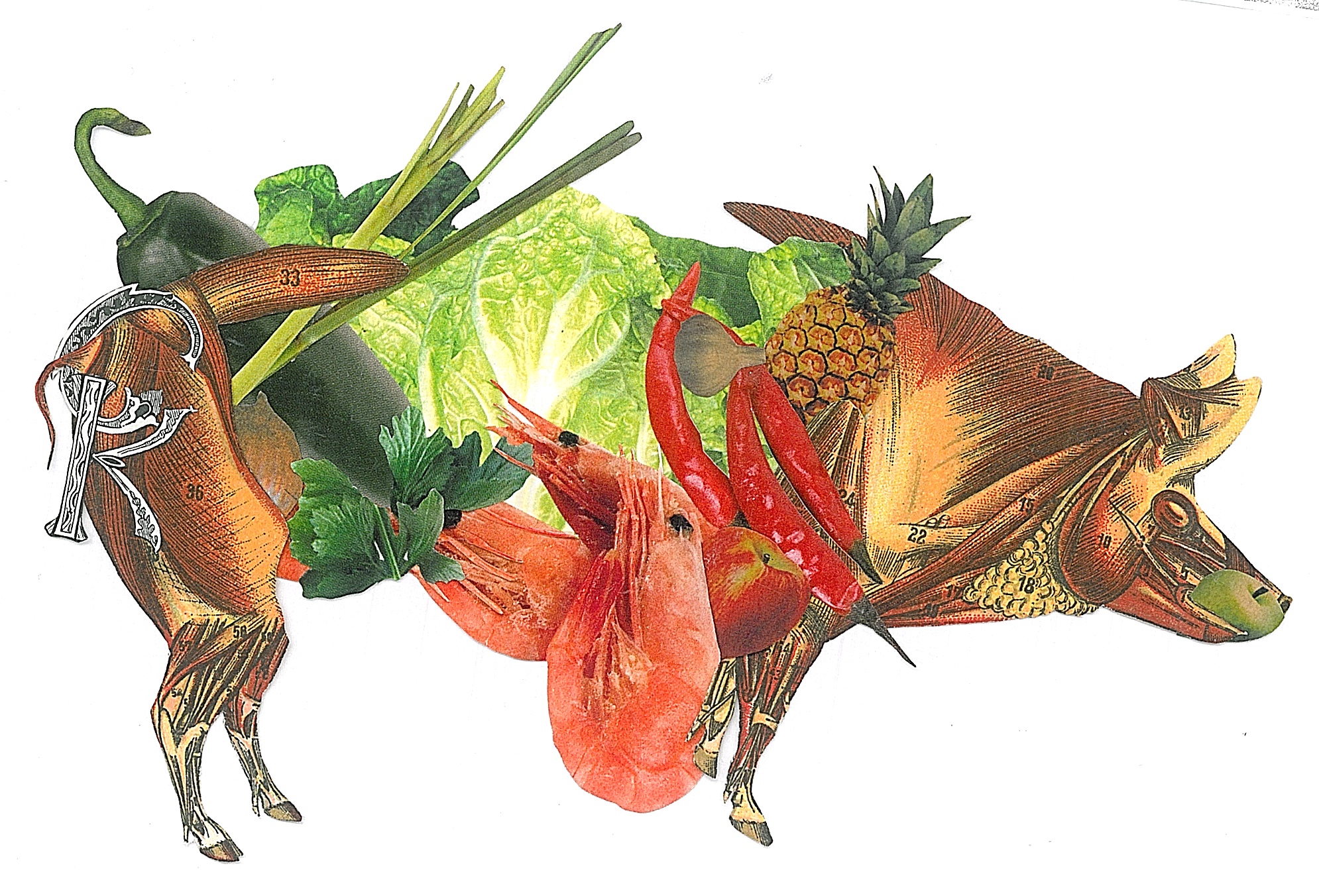 Another beautiful food collage with Inas Al-Soqi . It is amazing how these are turning out. Continually blowing my mind. 