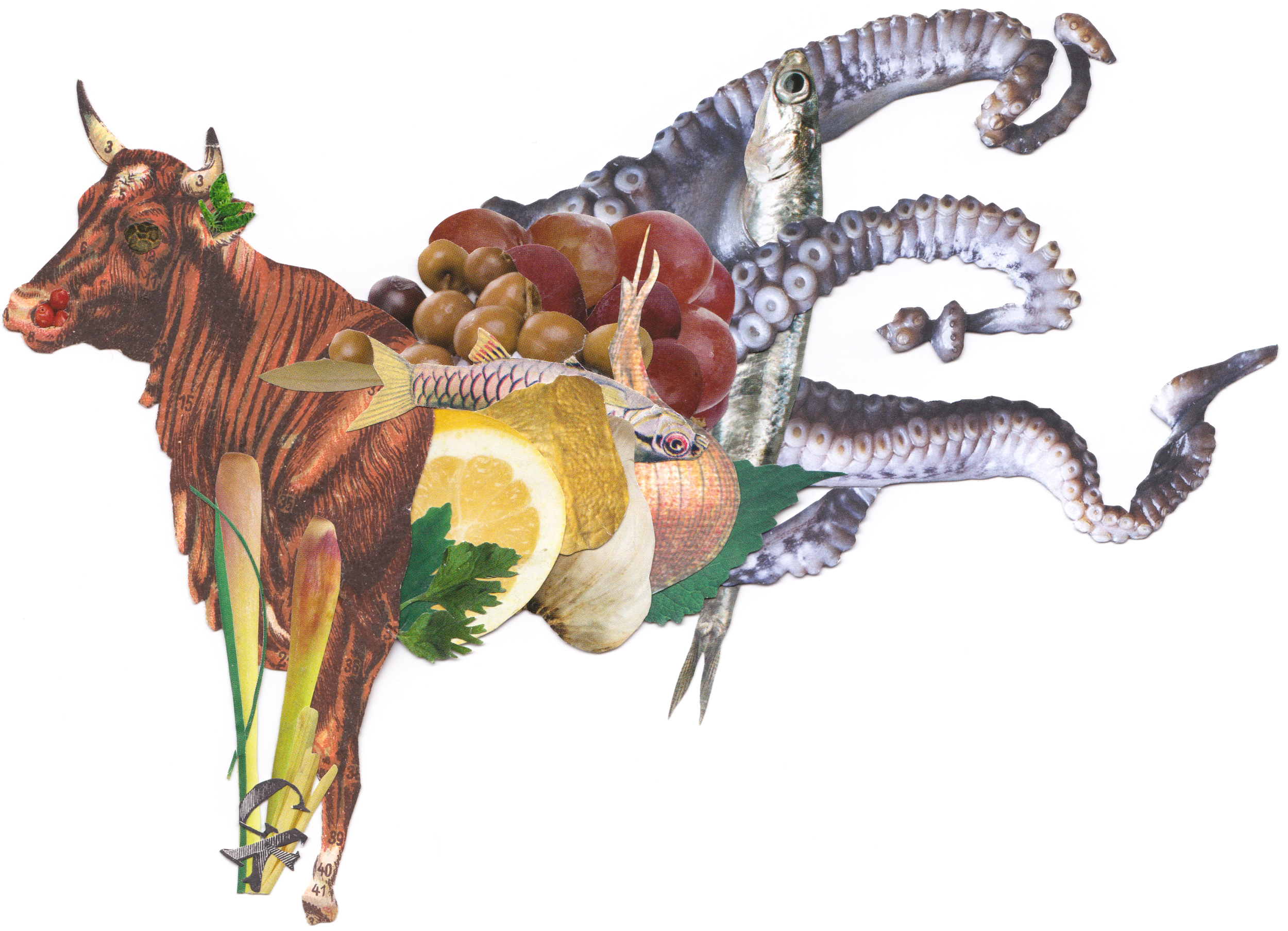 Surf and Turf - Short Rib and Octopus