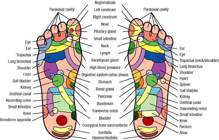 foot_reflexology.jpg