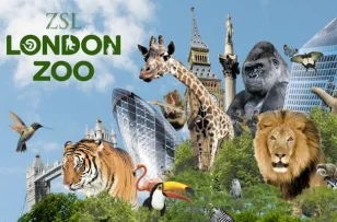 Zoo-Lates-main-banne-2014r.jpg