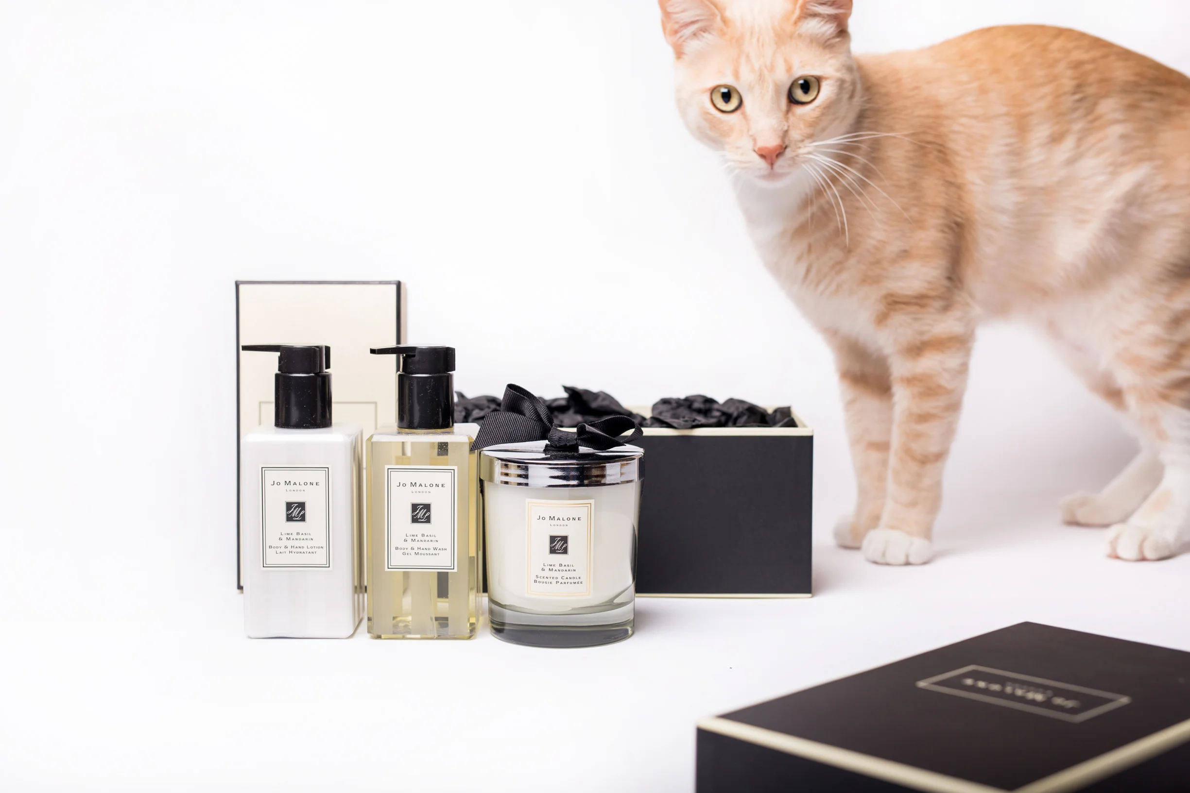 Gifts On-The-Go with Holt Renfrew on line 