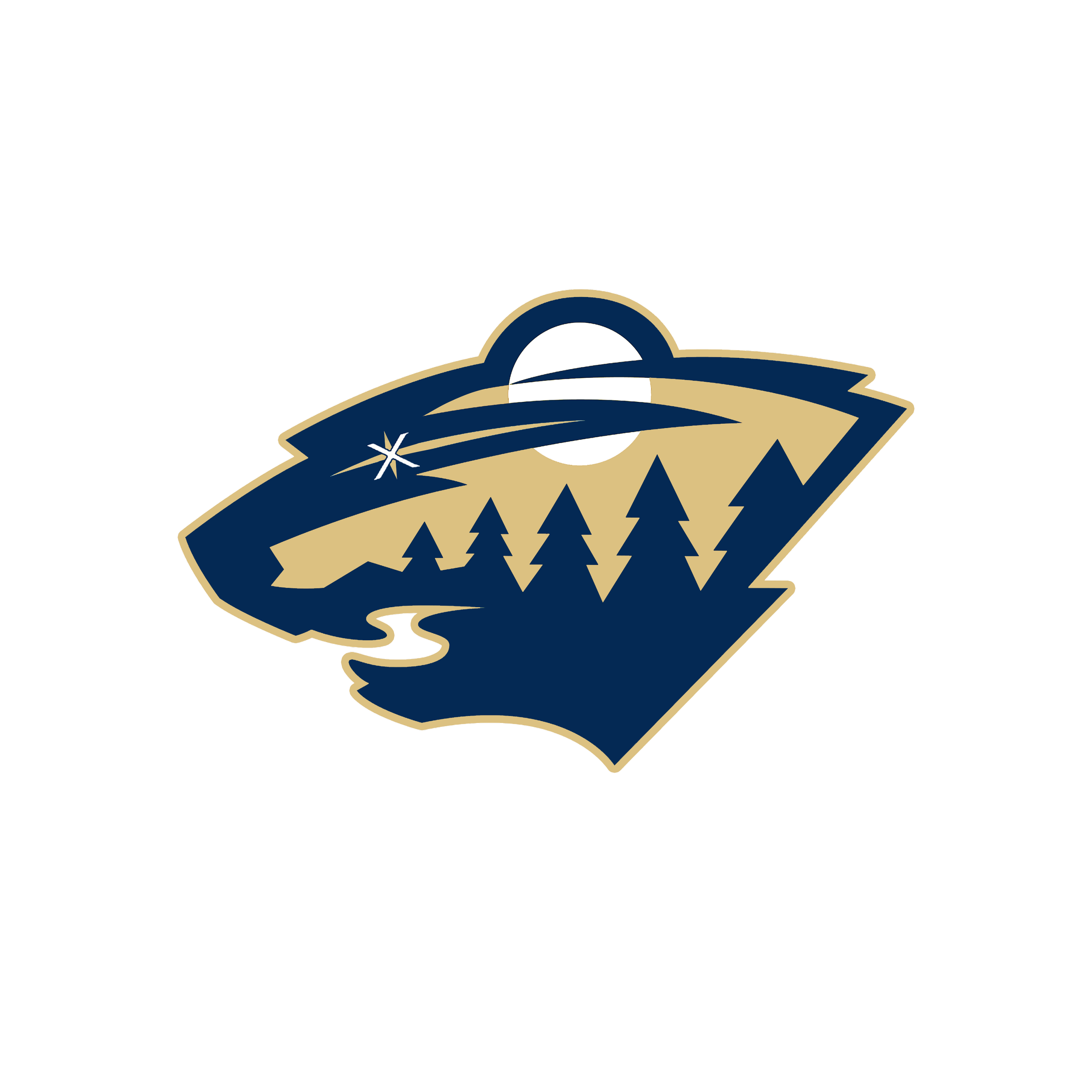 Saskatoon Wild