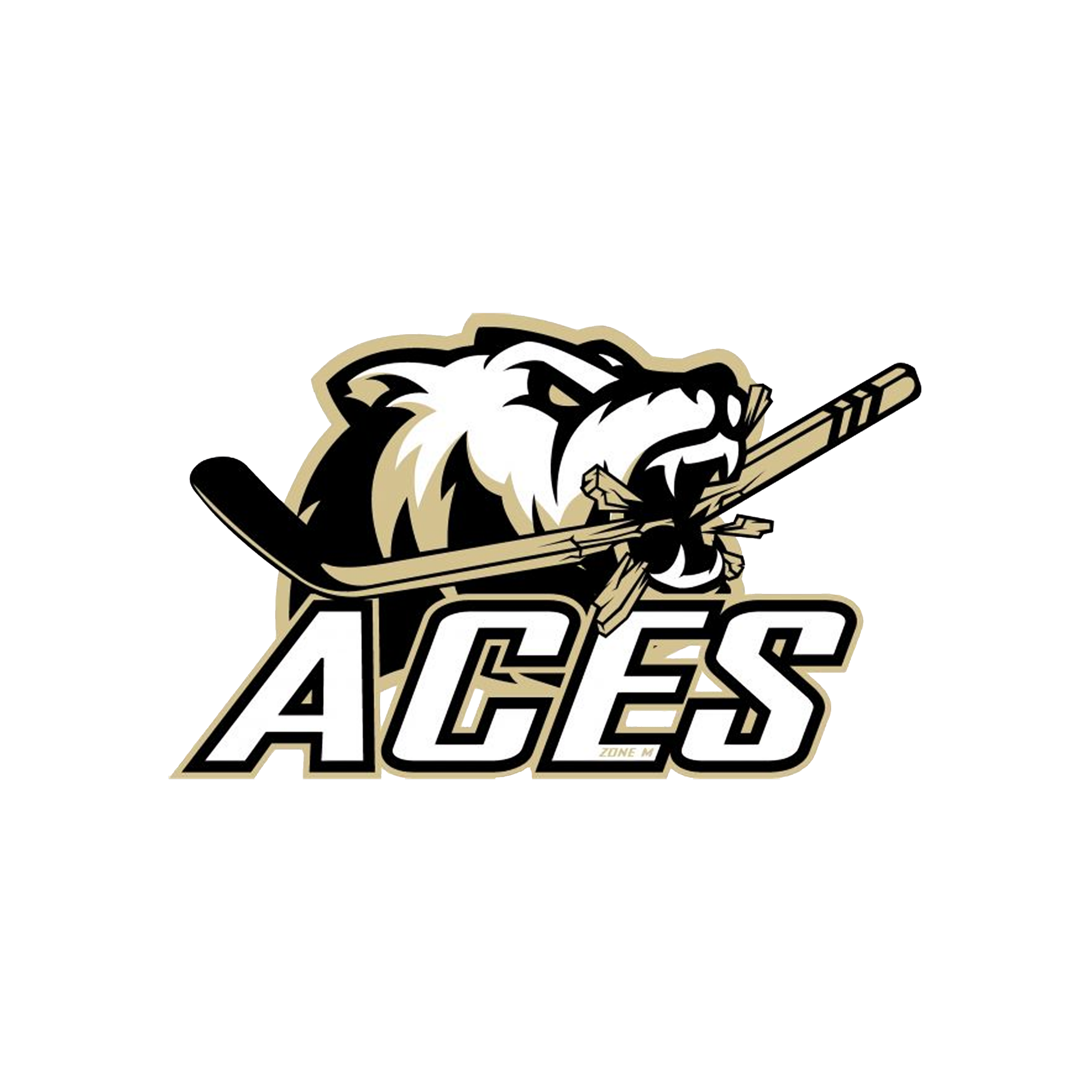 Saskatoon Aces