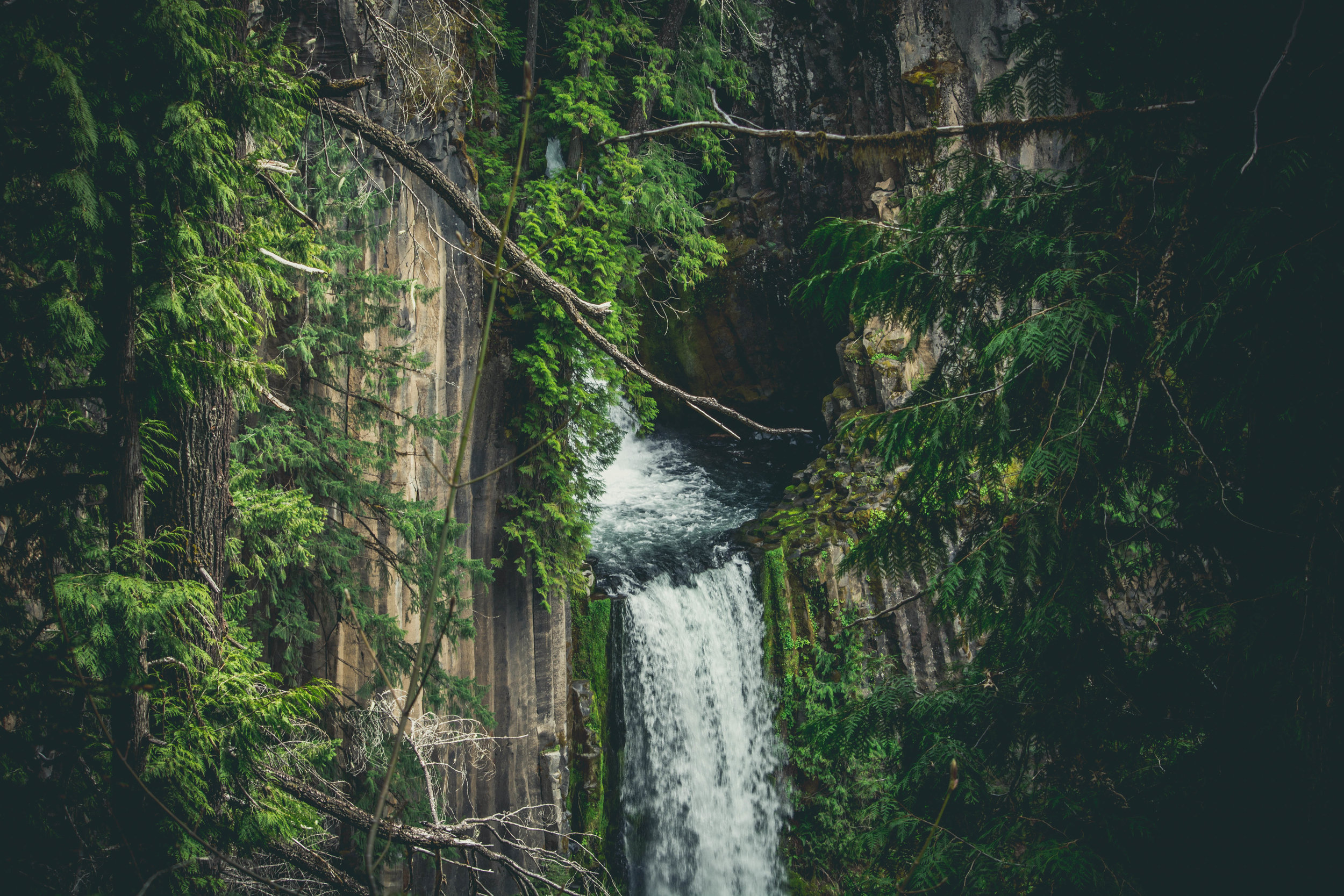 pexels-photo-213875.jpeg