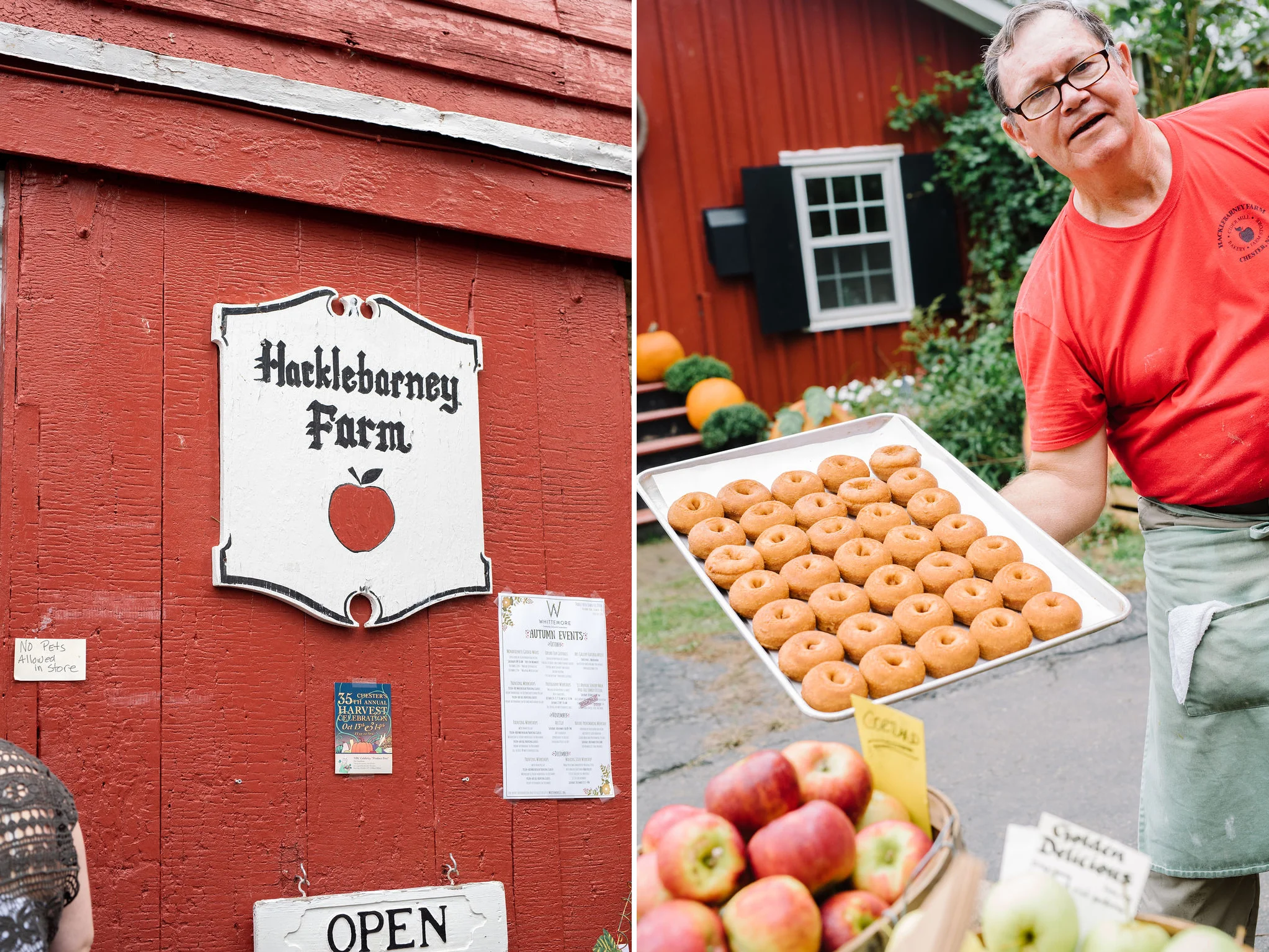 HacklebarneyFarm-Cider Donuts- Engagement Session- Olivia Christina Photo.jpg
