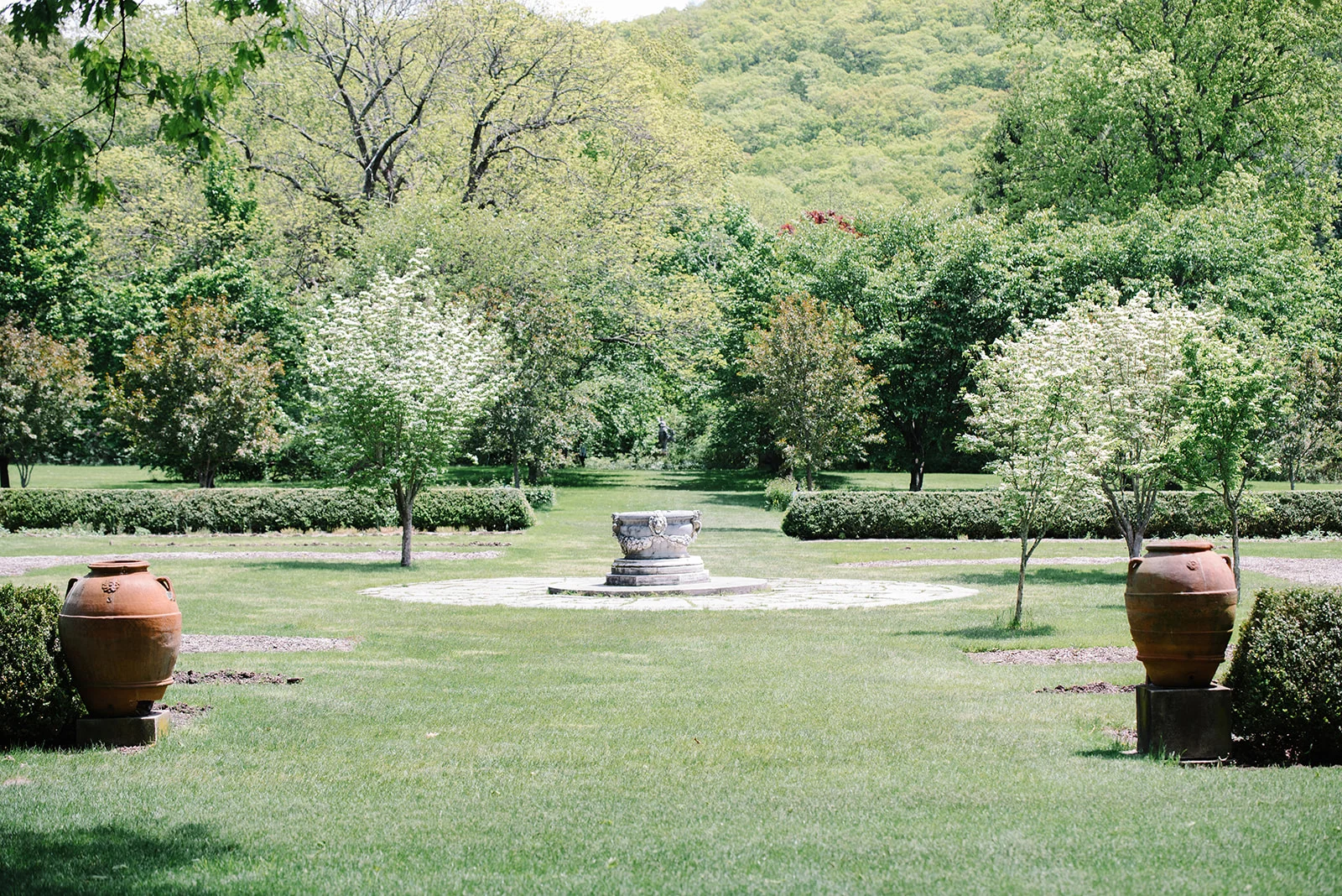 Surprise_Proposal-_NJ_Botanical_Gardens-_Greg_and_Jackie-New_Jersey-_Olivia_Christina_Photo-2.jpg