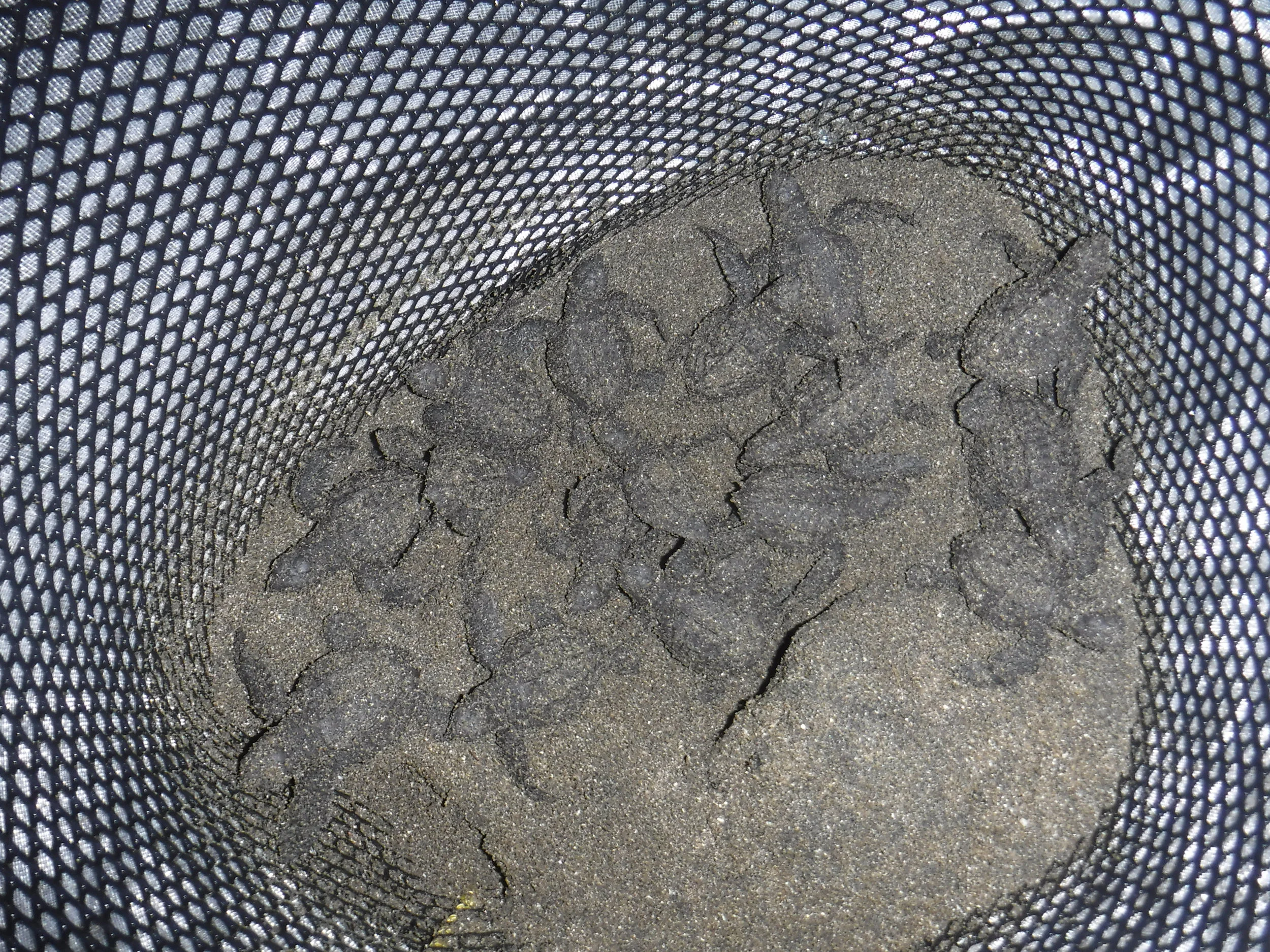 DSCF1374.JPG
