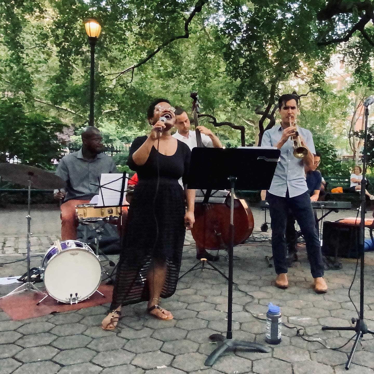 Join us this Saturday 8/6 from 5-8pm in Stuyvesant Park for music sponsored by @spna_nyc. The band includes @vanishagouldmusic @cardinalis.cardinalis @davebaronmusic and @colinstranahan