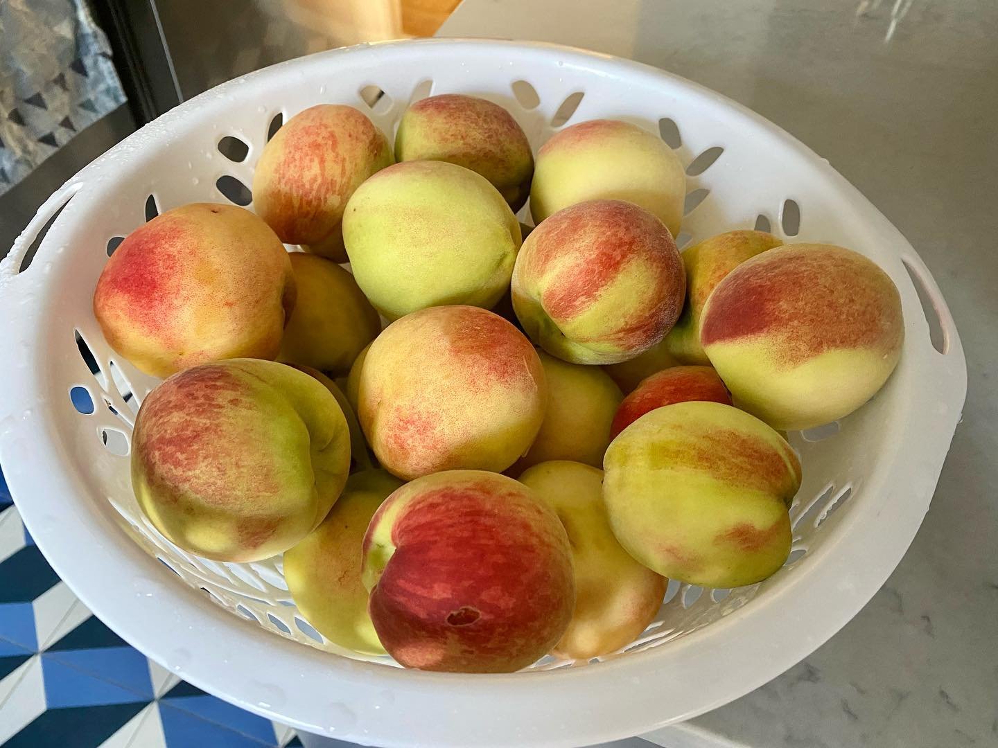 Summer fruits just harvested from our front yard.  #nycproduce #marblehill #summer