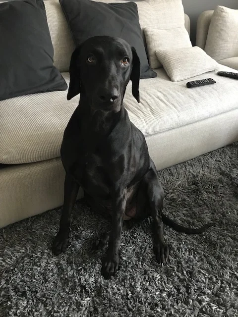 my xena.jpg