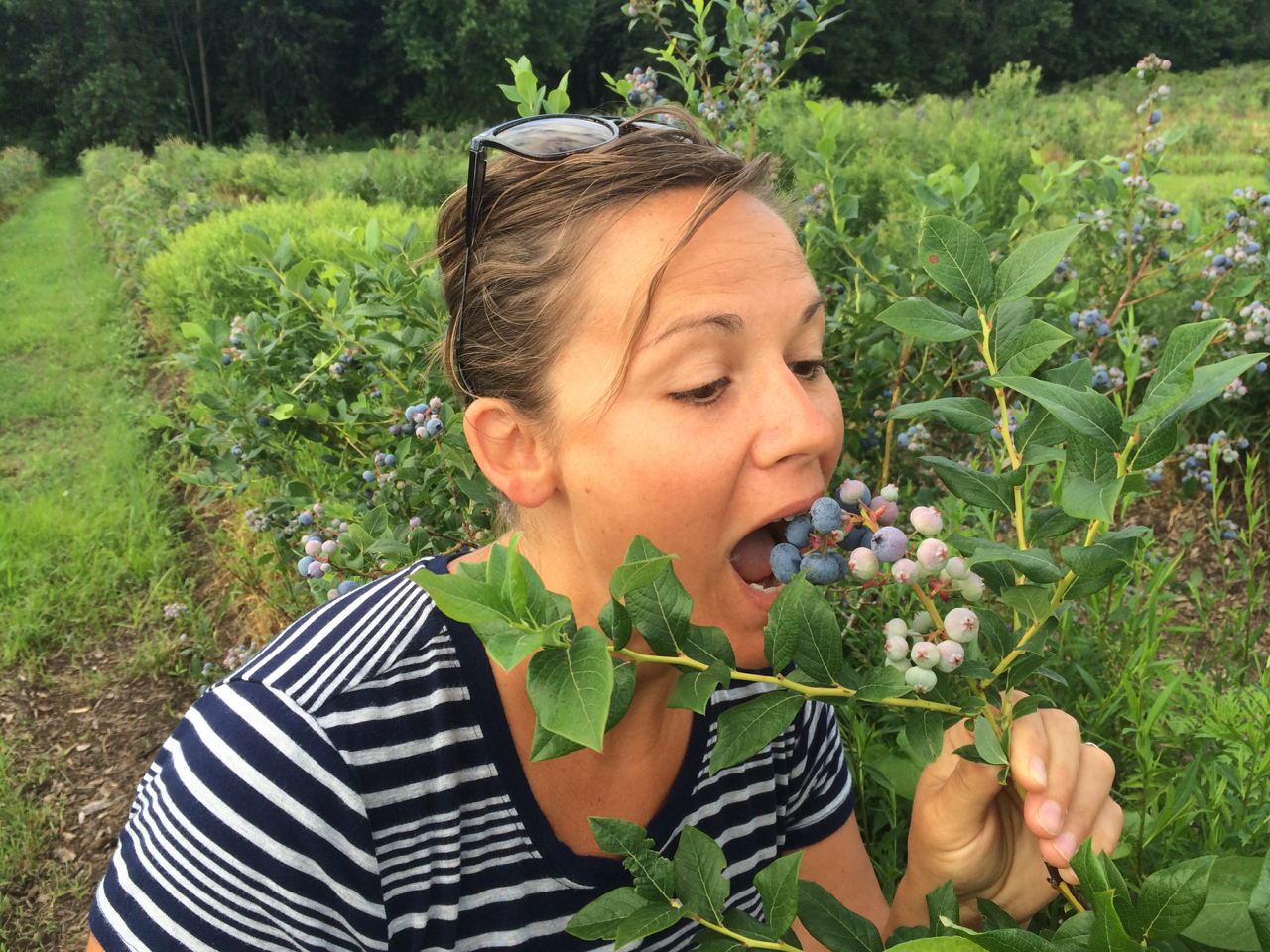 Michigan berry pickin' | July | Fennville,, MI
