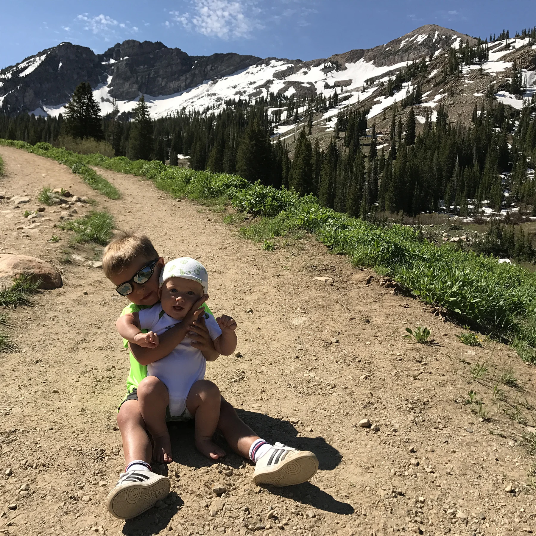 Utah mountain splendor | June | Alta, UT