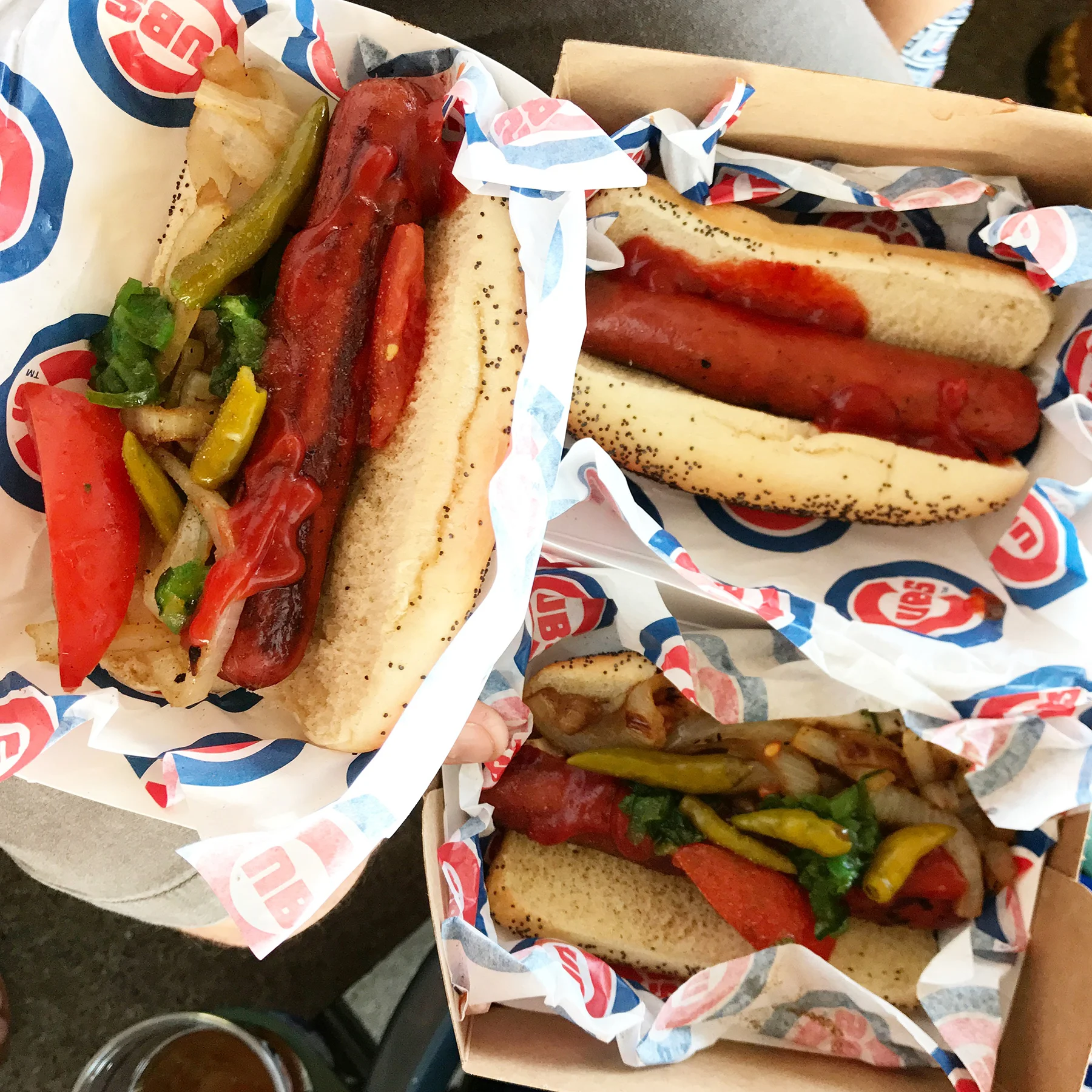 Wrigley Field dogs | June | Chicago, IL