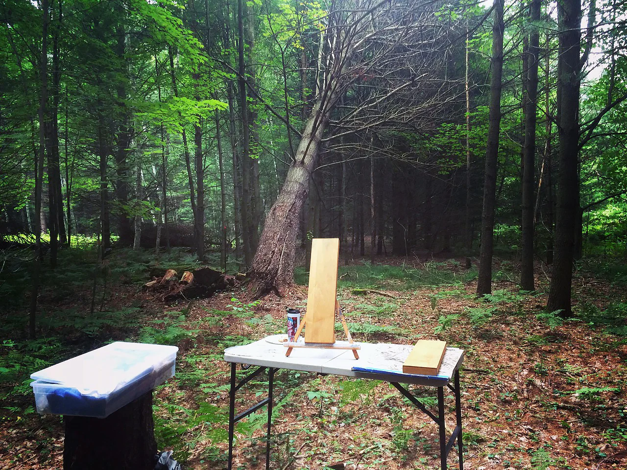 Outdoor studio | Sobieski, WI