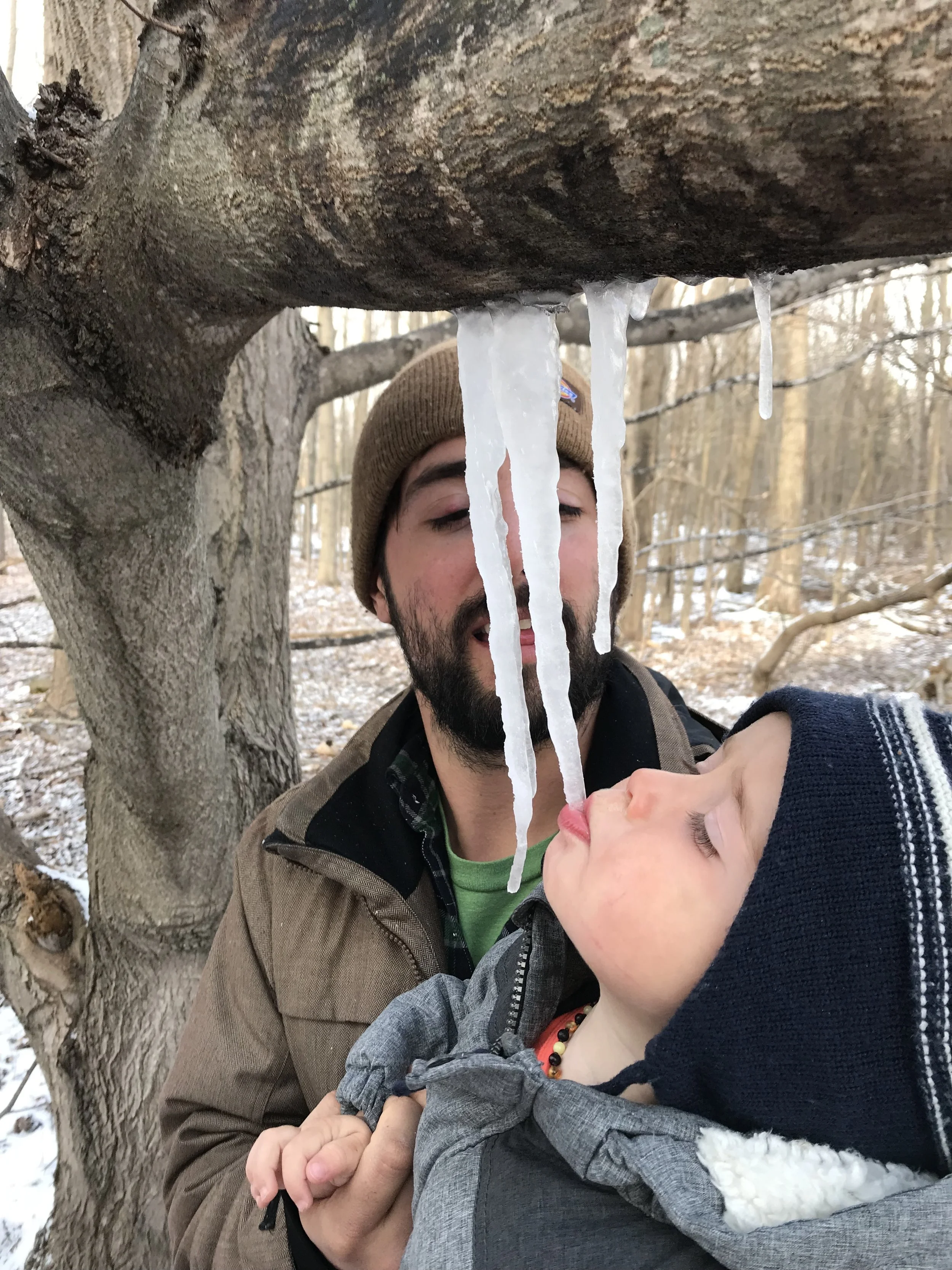 Sap sucker | Glenn, MI | March