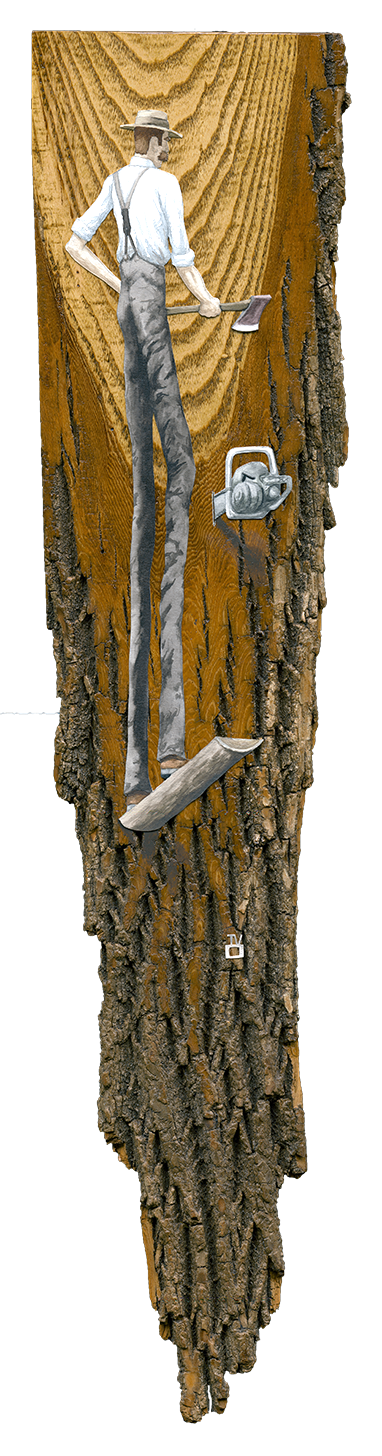 lumberjackii.png