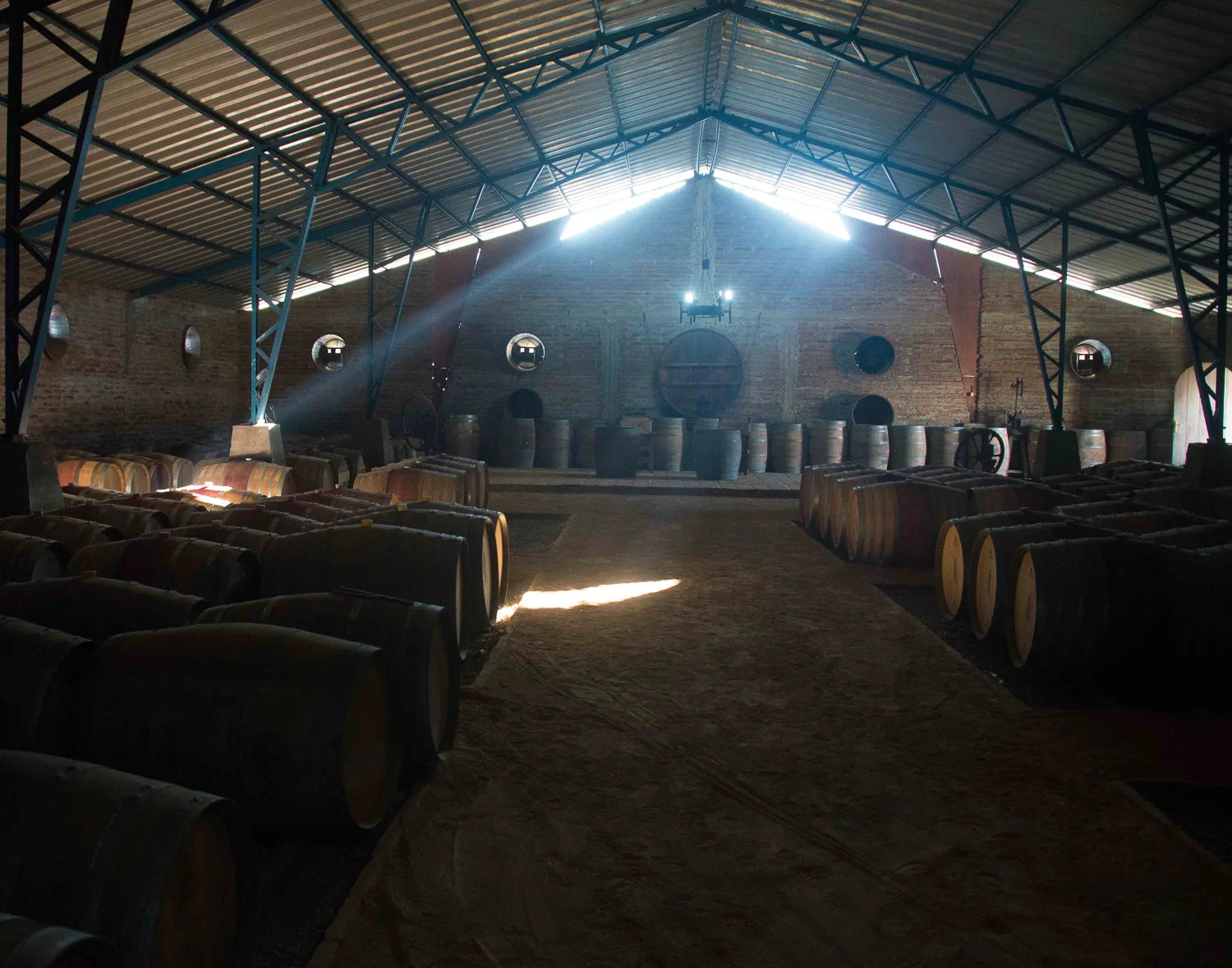 18. Pengine Barrel Cave, Maipo Valley, Chile.jpg