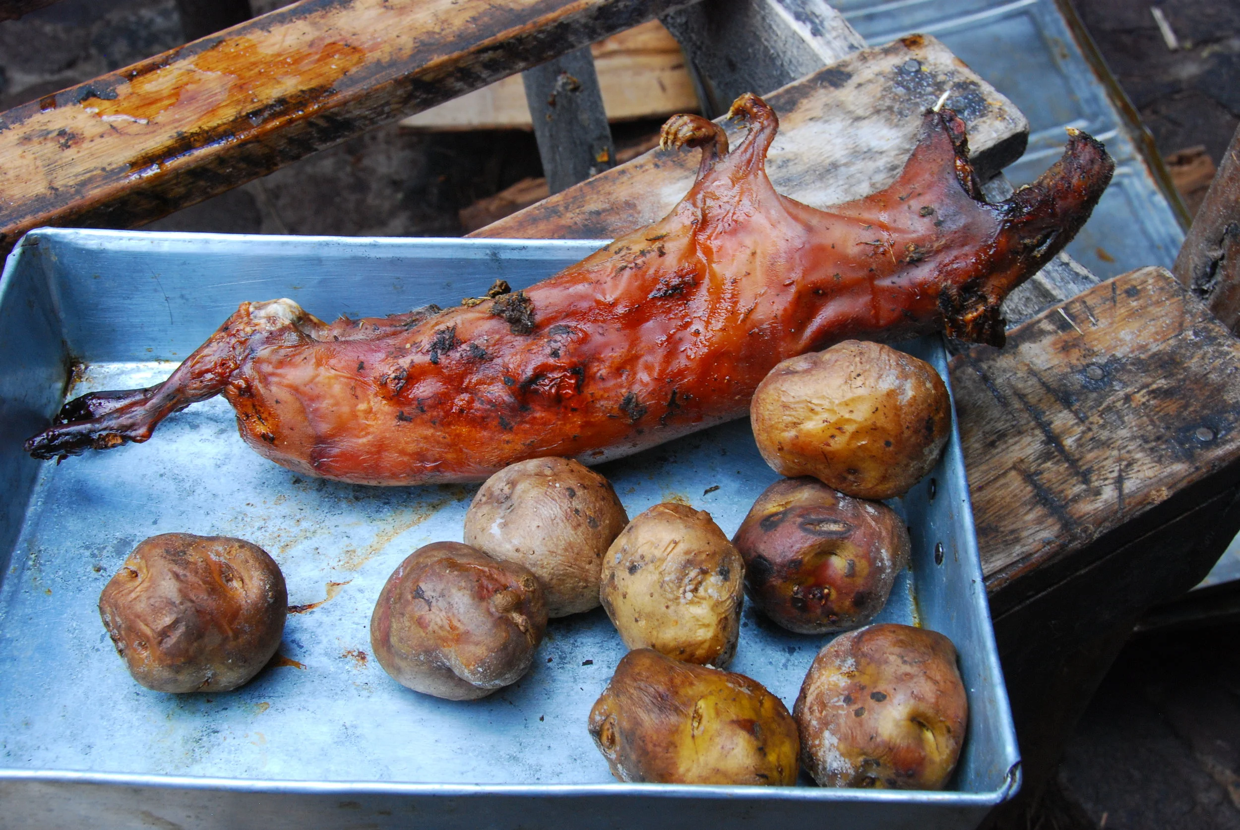 7. Guinea Pig (Cuy) in Pisac, Peru.JPG