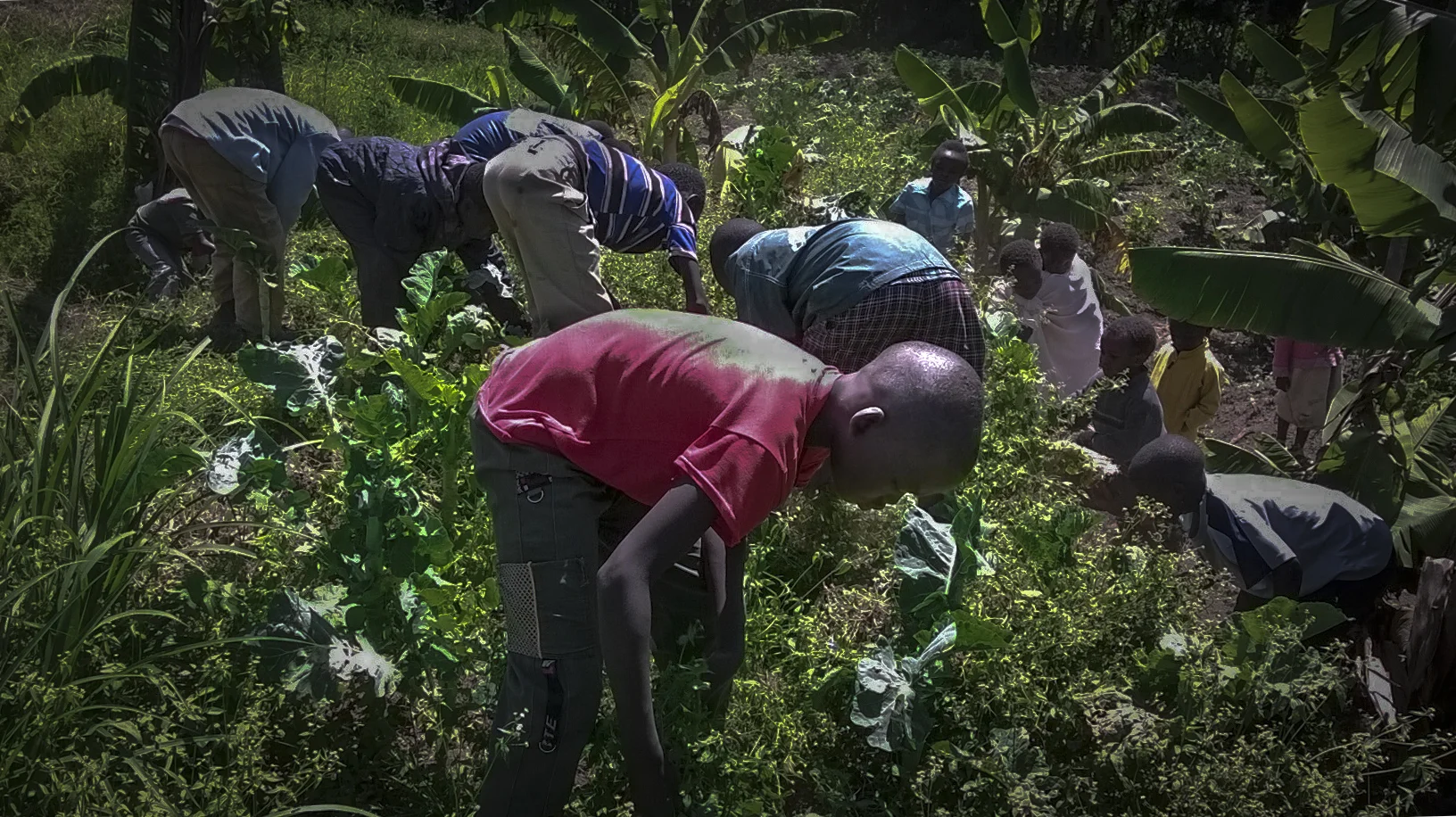 Learning sustainable agriculture hands-on