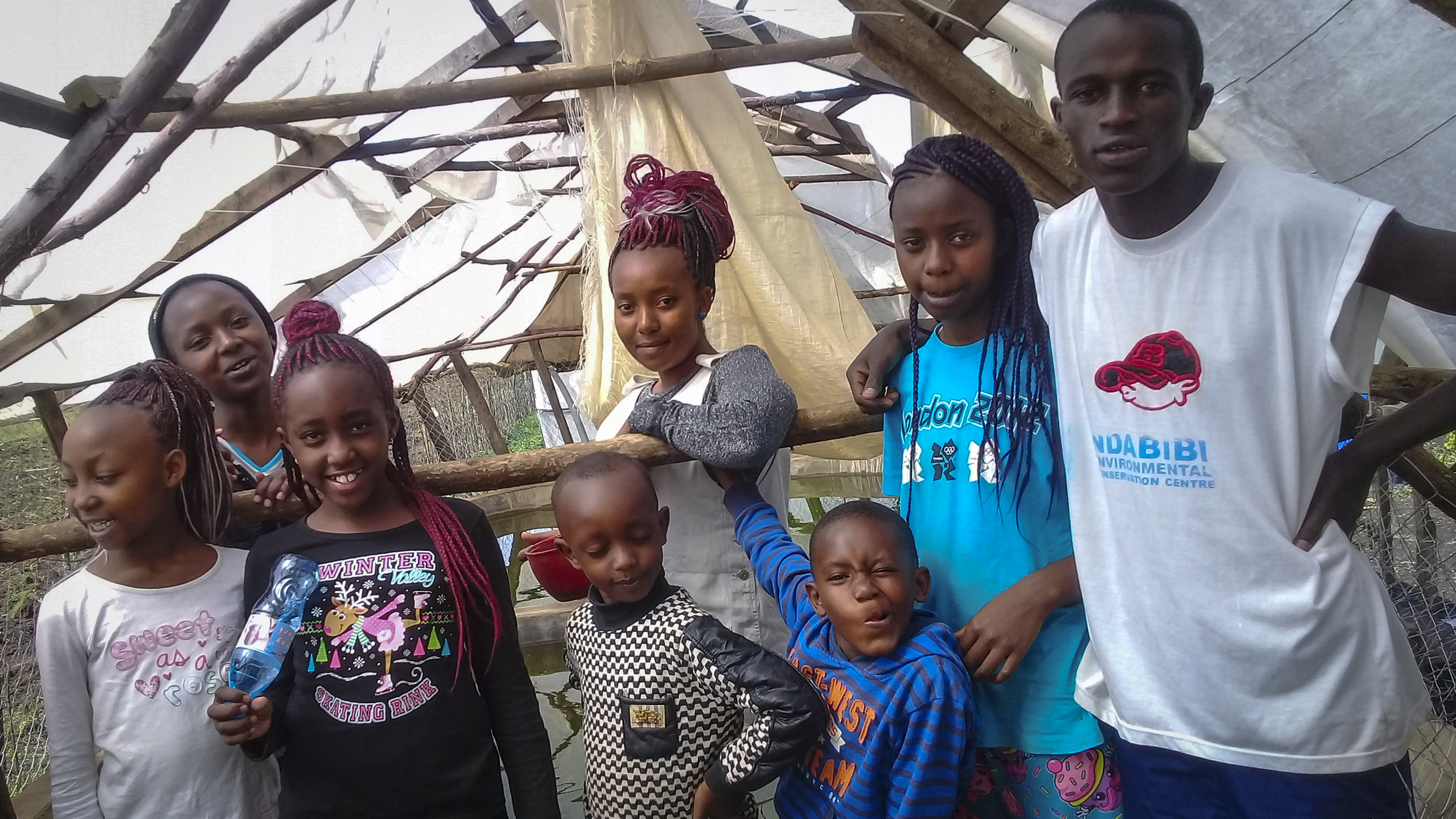 Members of the Youth Training Programme learn about the aquaponics system