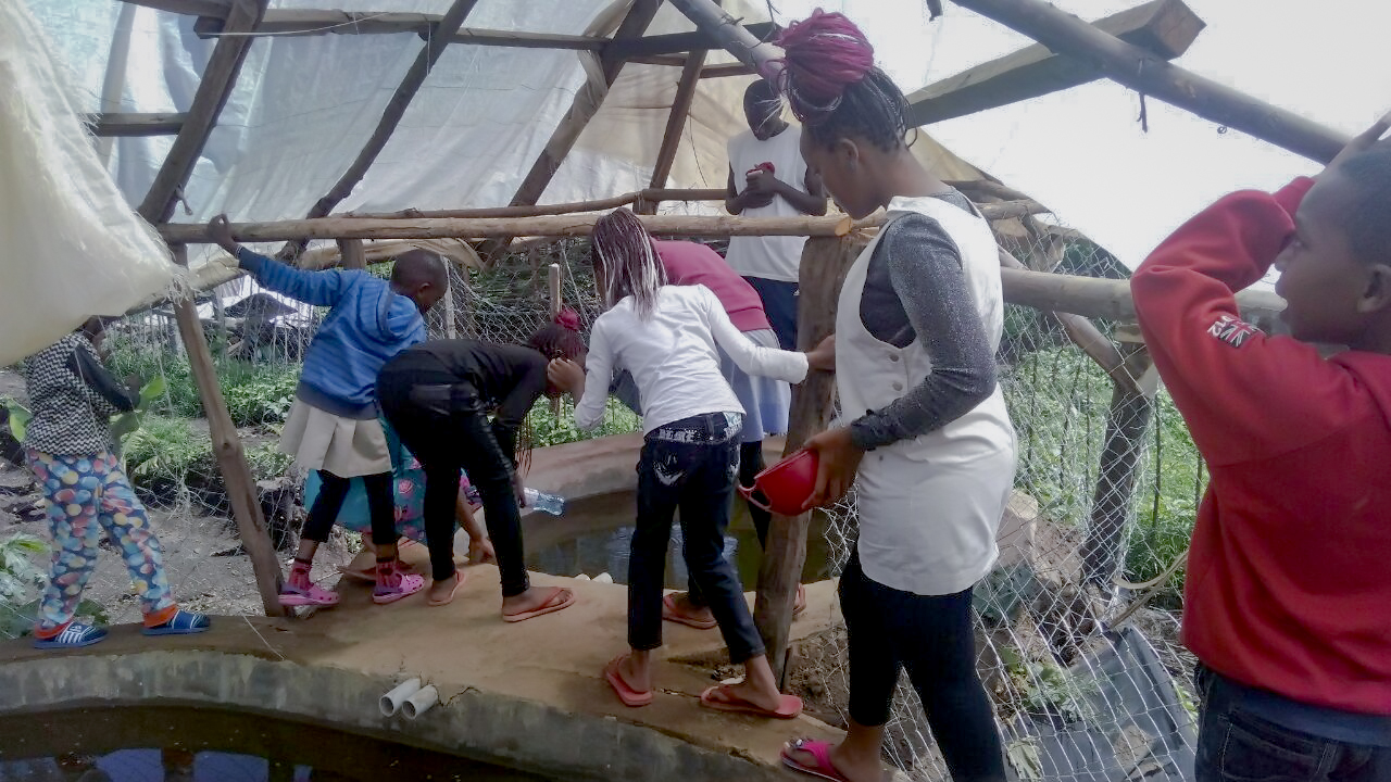 Members of the Youth Training Programme investigate the fish ponds  