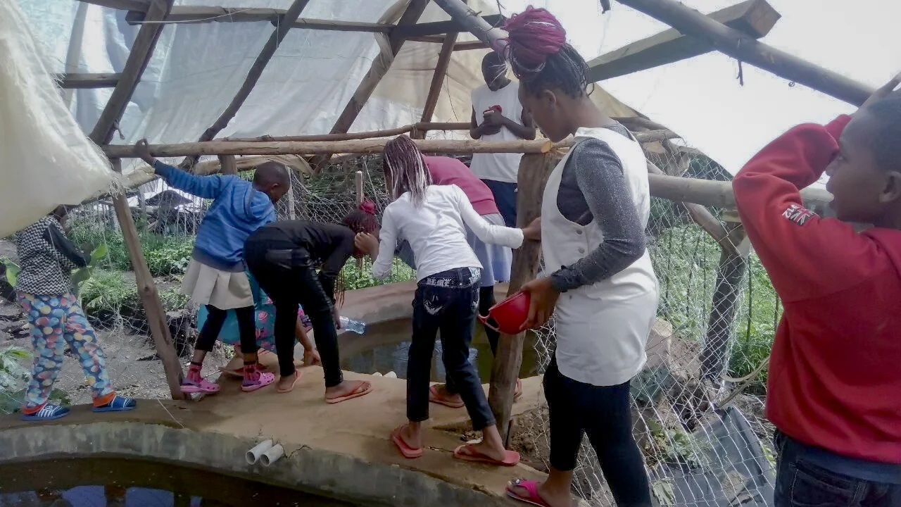 Members of the Youth Training Programme investigate the fish ponds