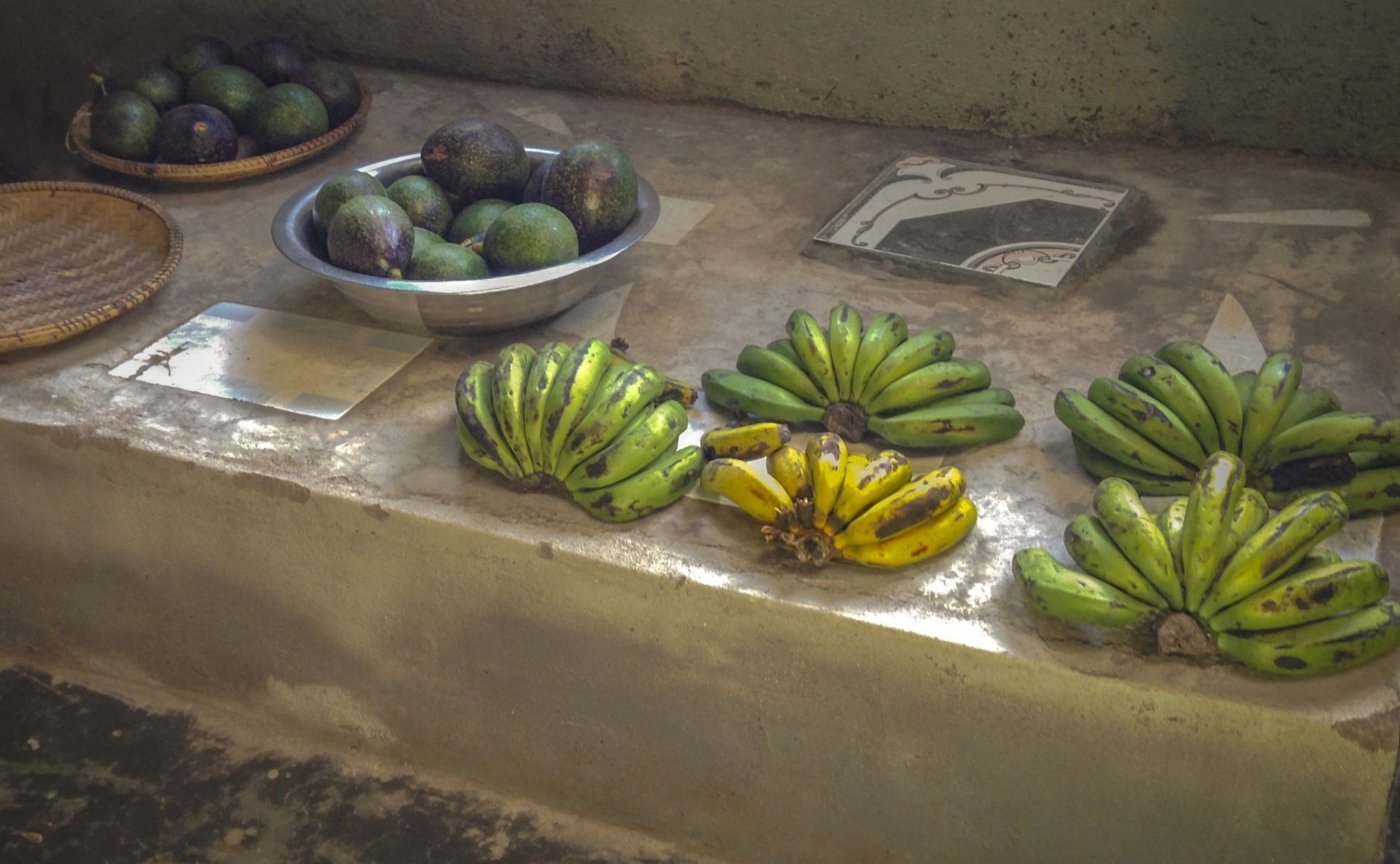 Breakfast fruits from the farm at NECC