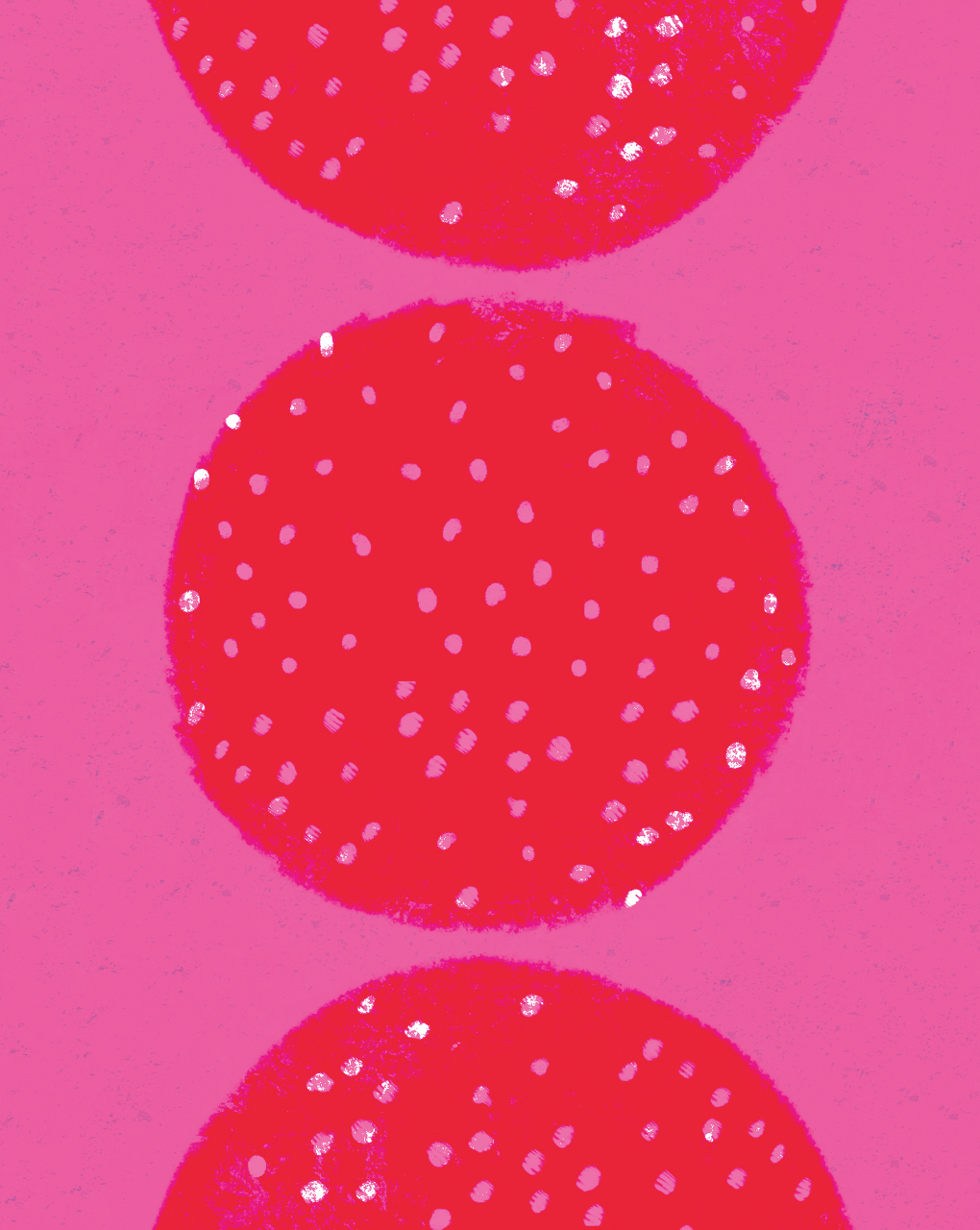 Screen Shot 2019-09-07 at 12.04.08 AM.png