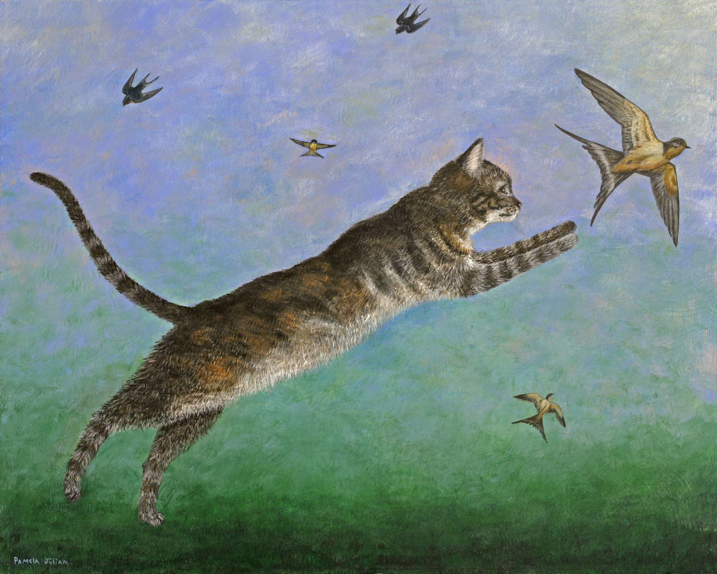 Chasing the Birds (2011)