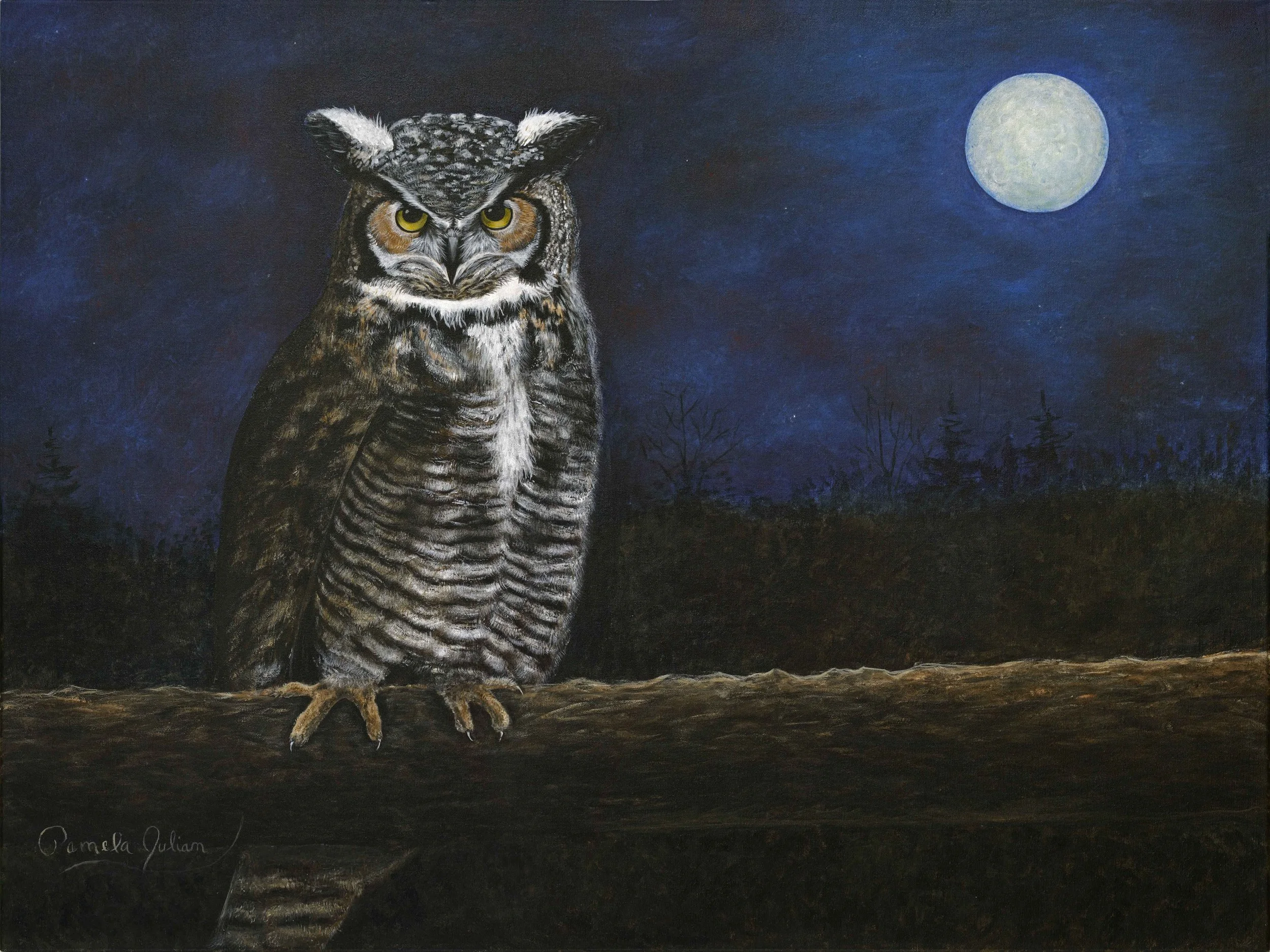 Night Owl (2011)