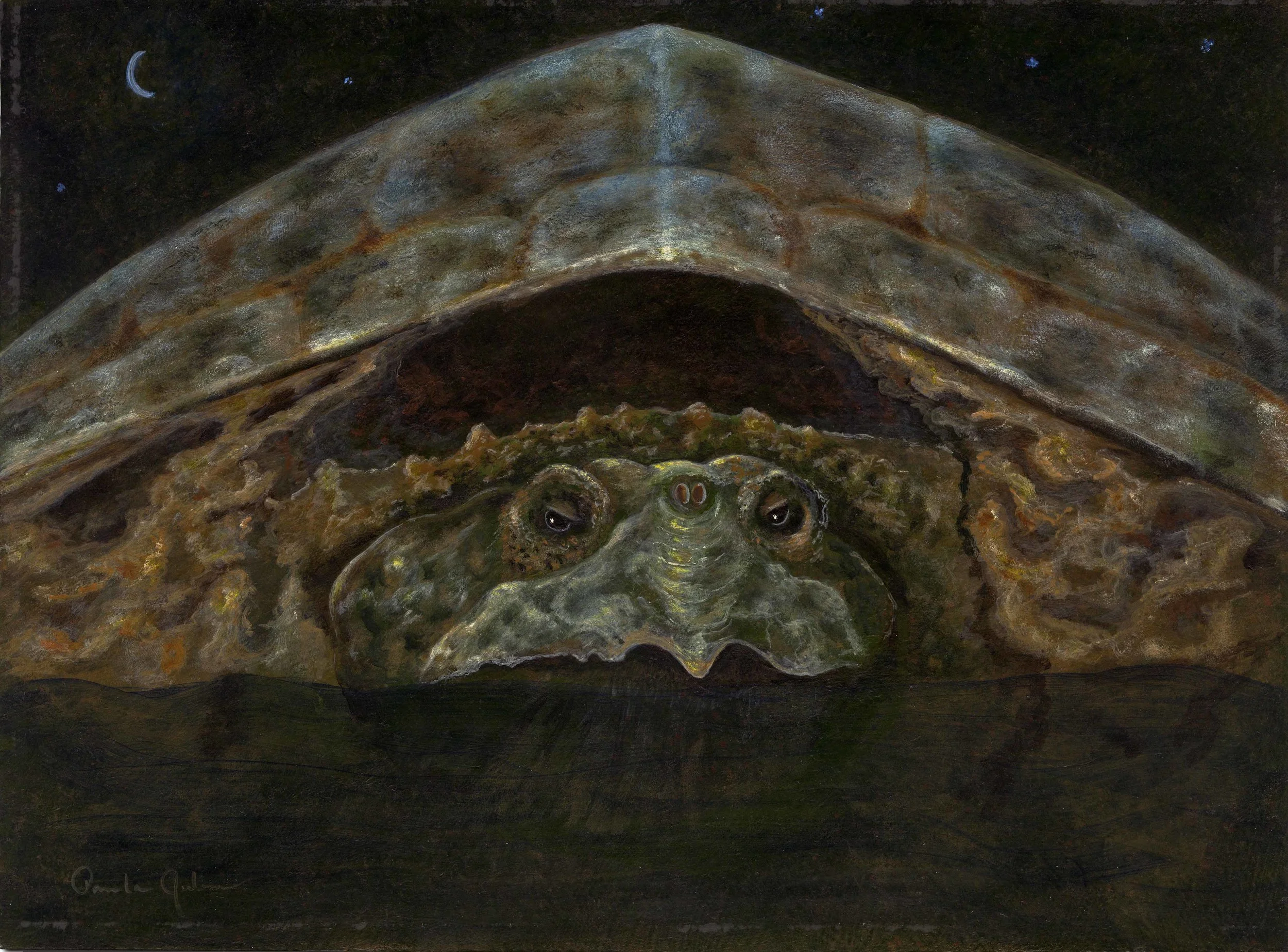 Snapped (2013)