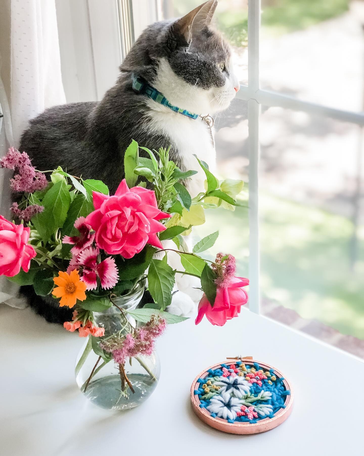 This guy! Endless hours of window gazing 😻 The hoop is available in my shop!
💙
I hope you&rsquo;re doing well and having a fun weekend. Enjoy your Sunday.