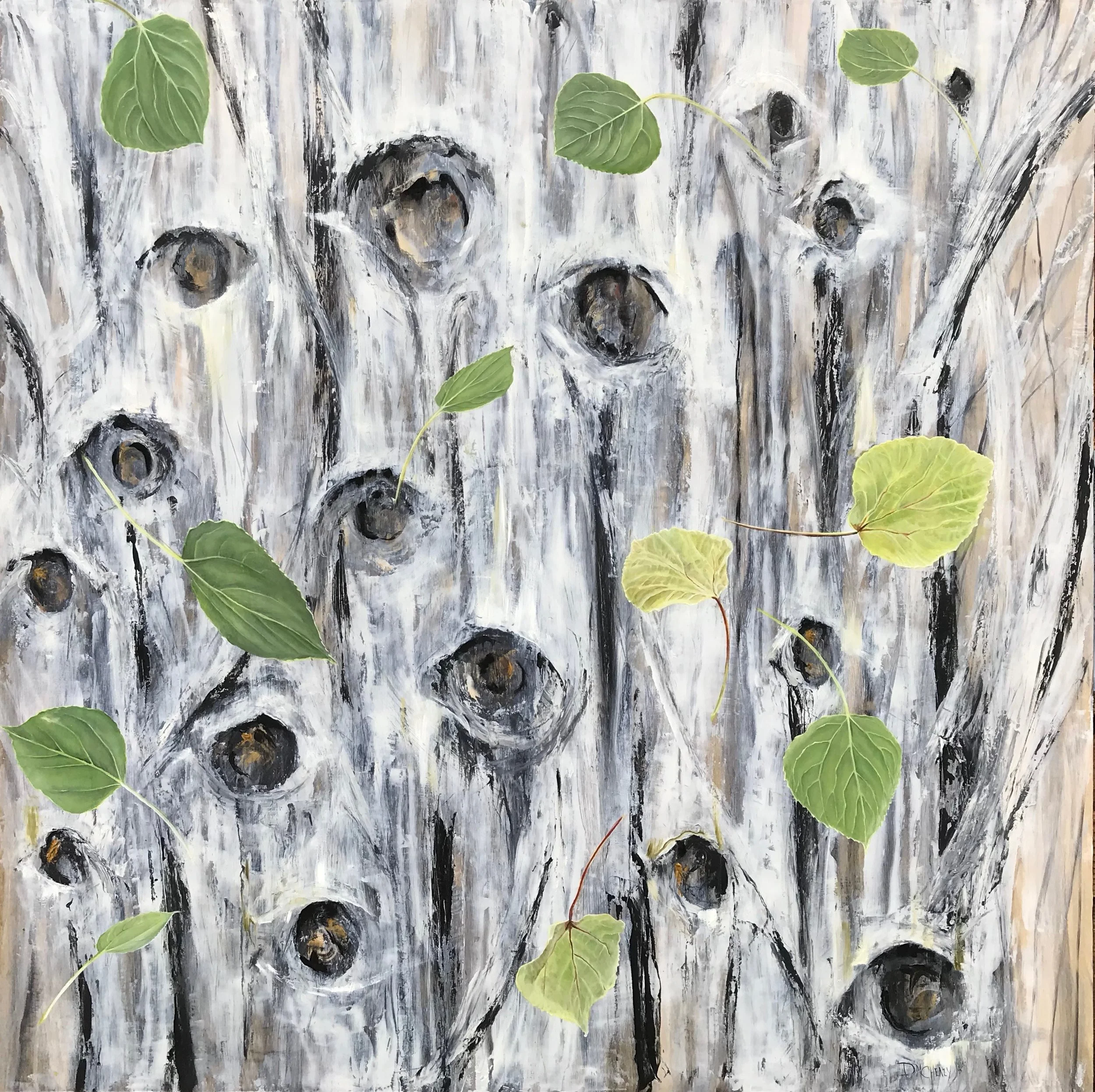 Pando IX