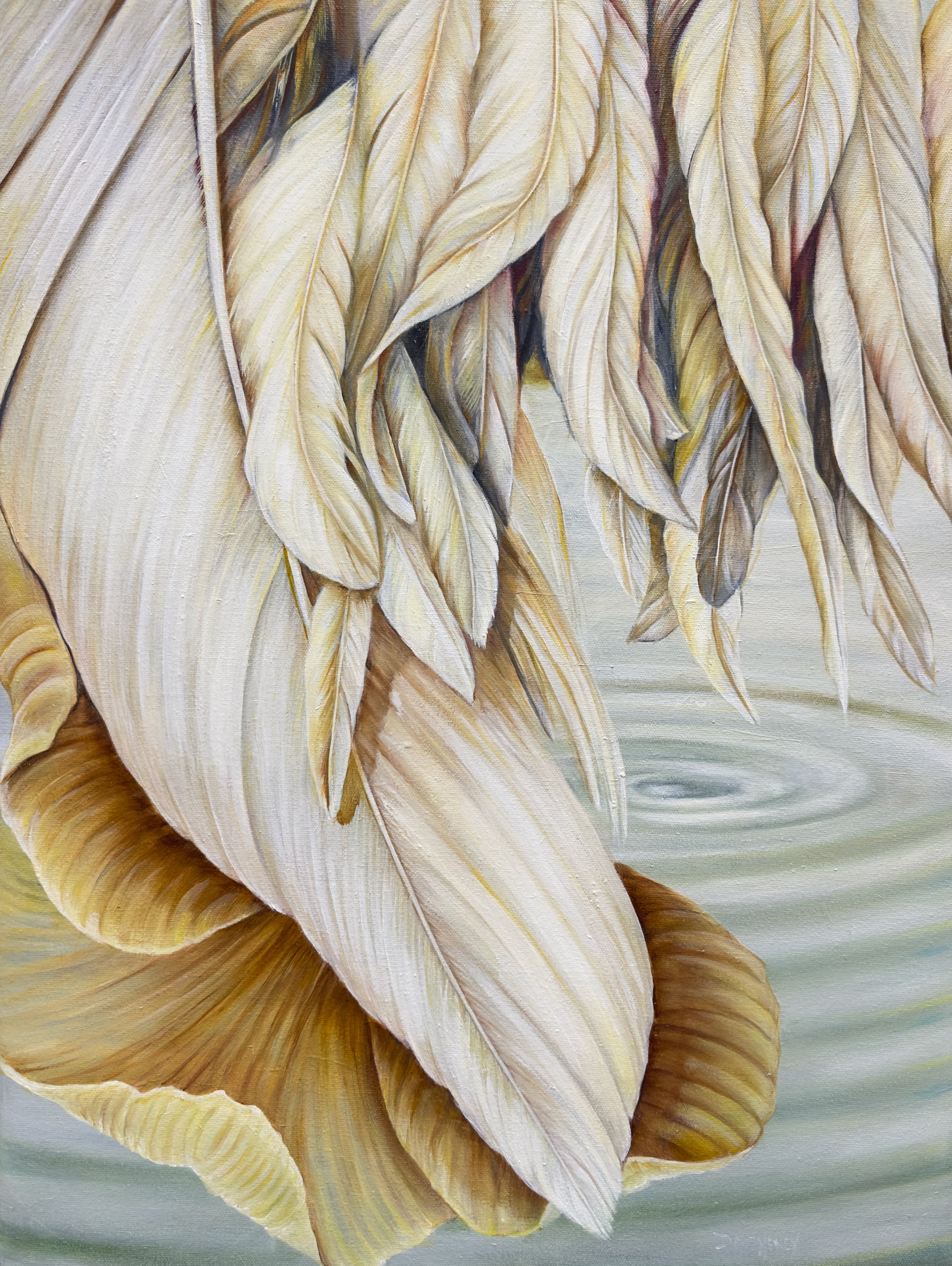 WEIGHT OF WINGS II