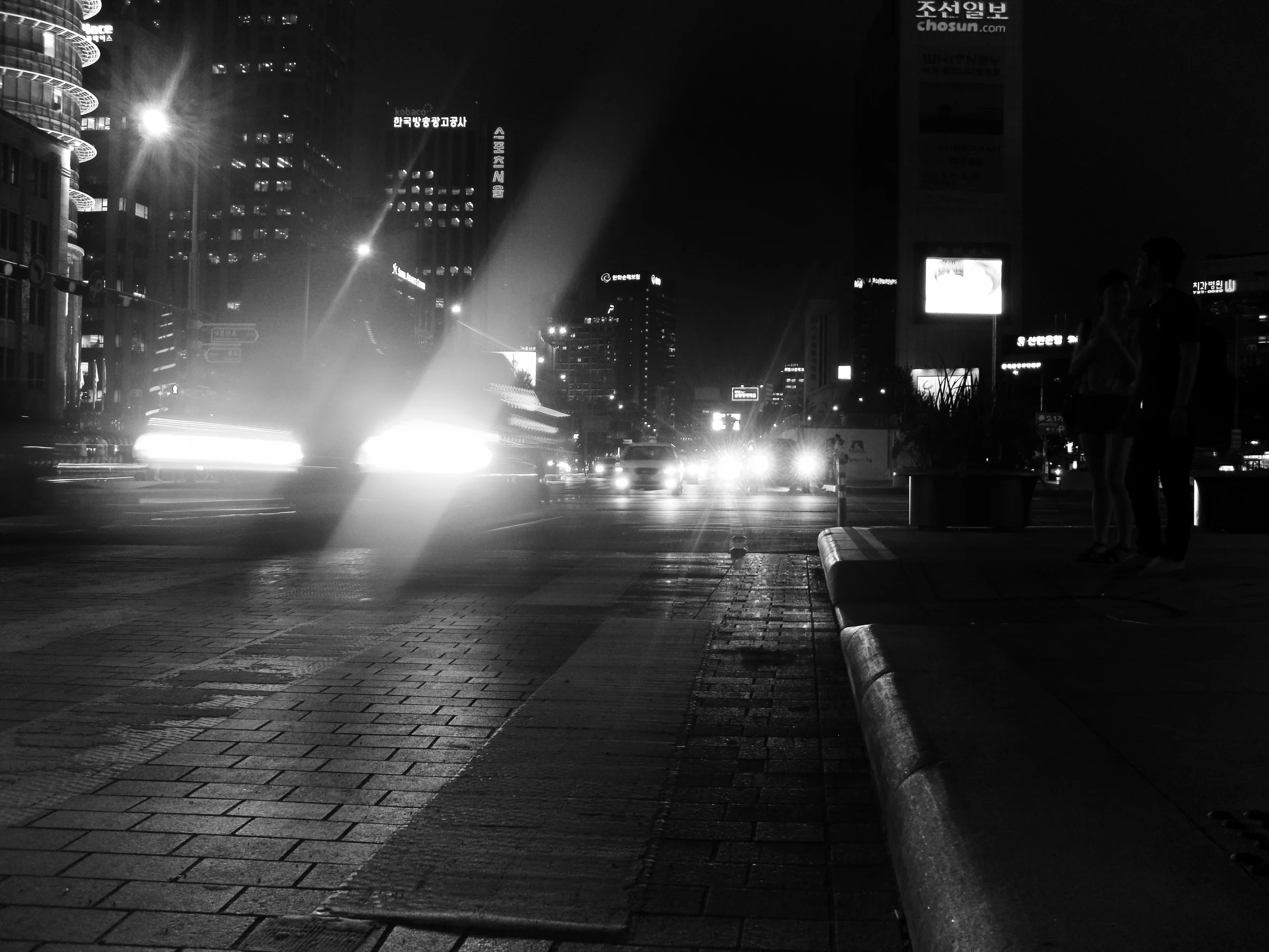 DSC01960.jpg