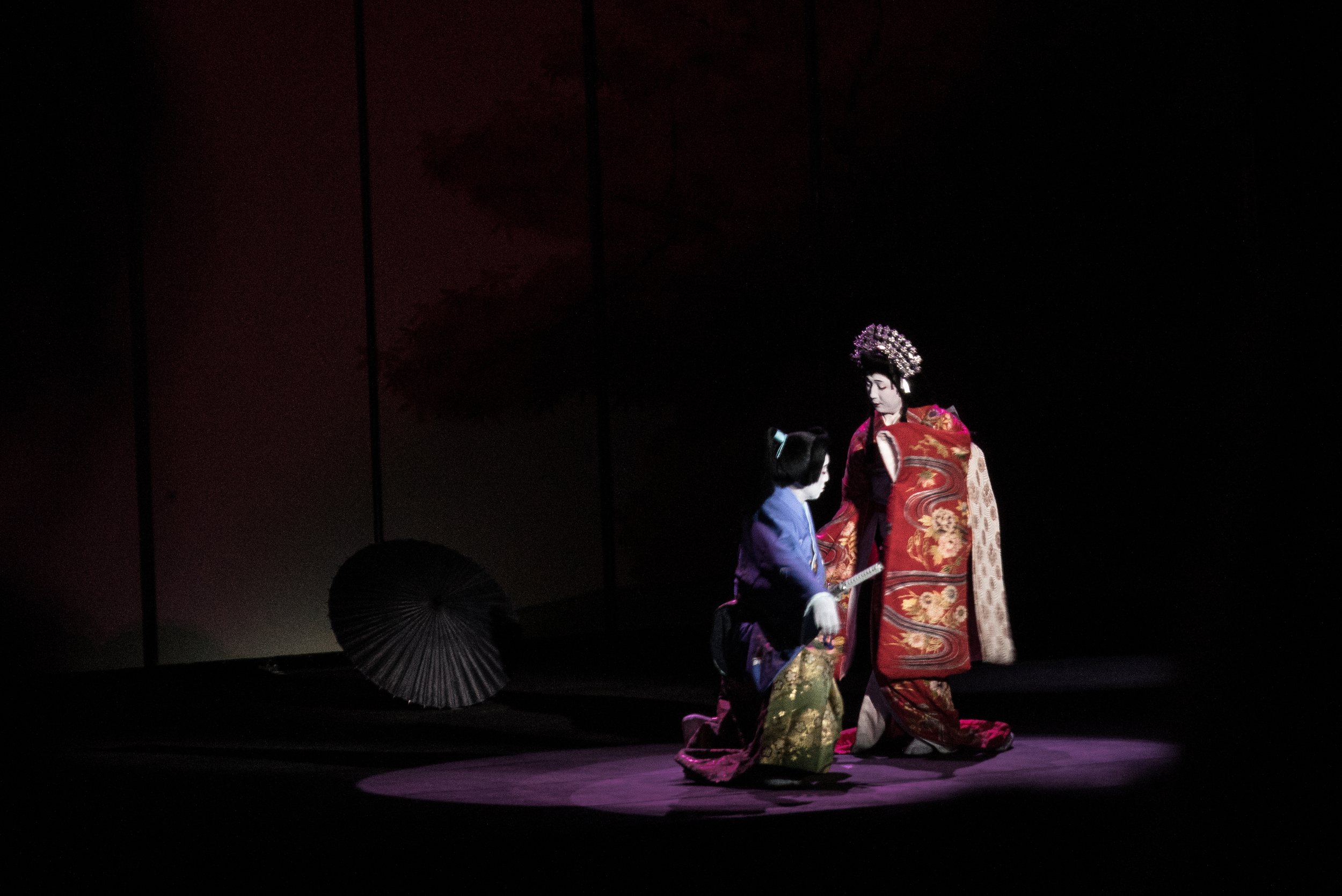 Shiganosuke being charmed by the red Koi in disguise. Photo: Ross Takahashi